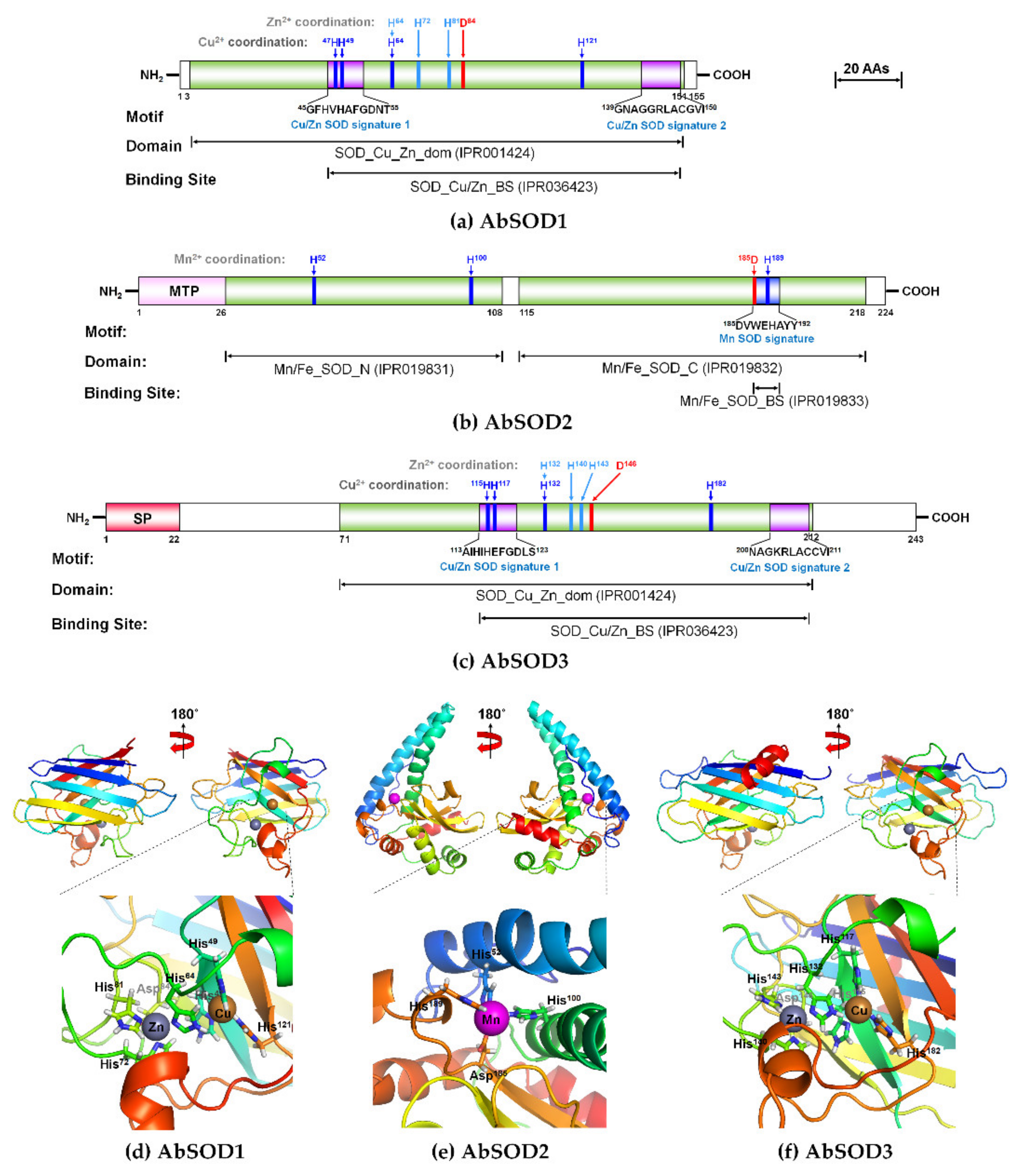Antioxidants 10 00232 g001