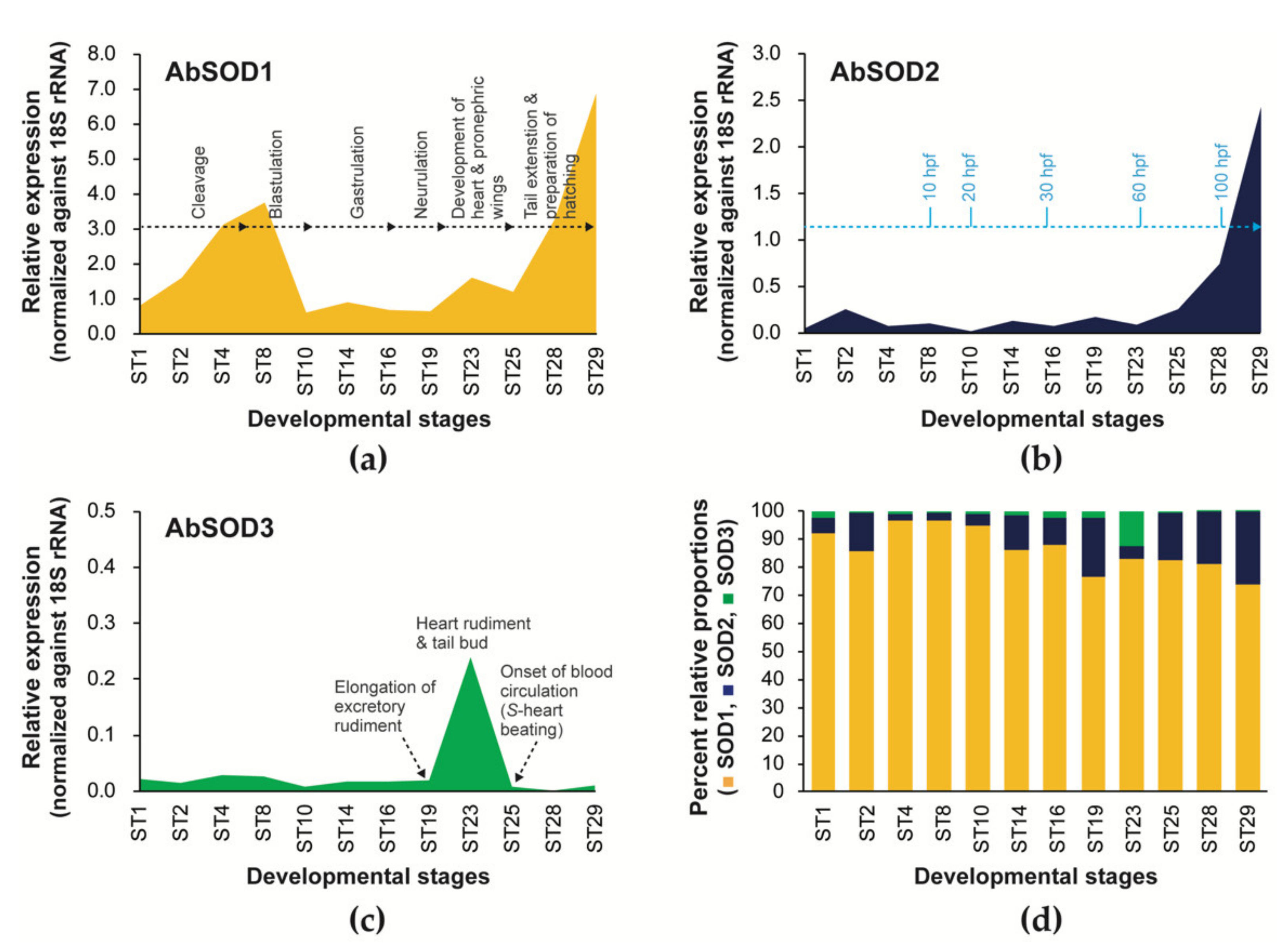 Antioxidants 10 00232 g005