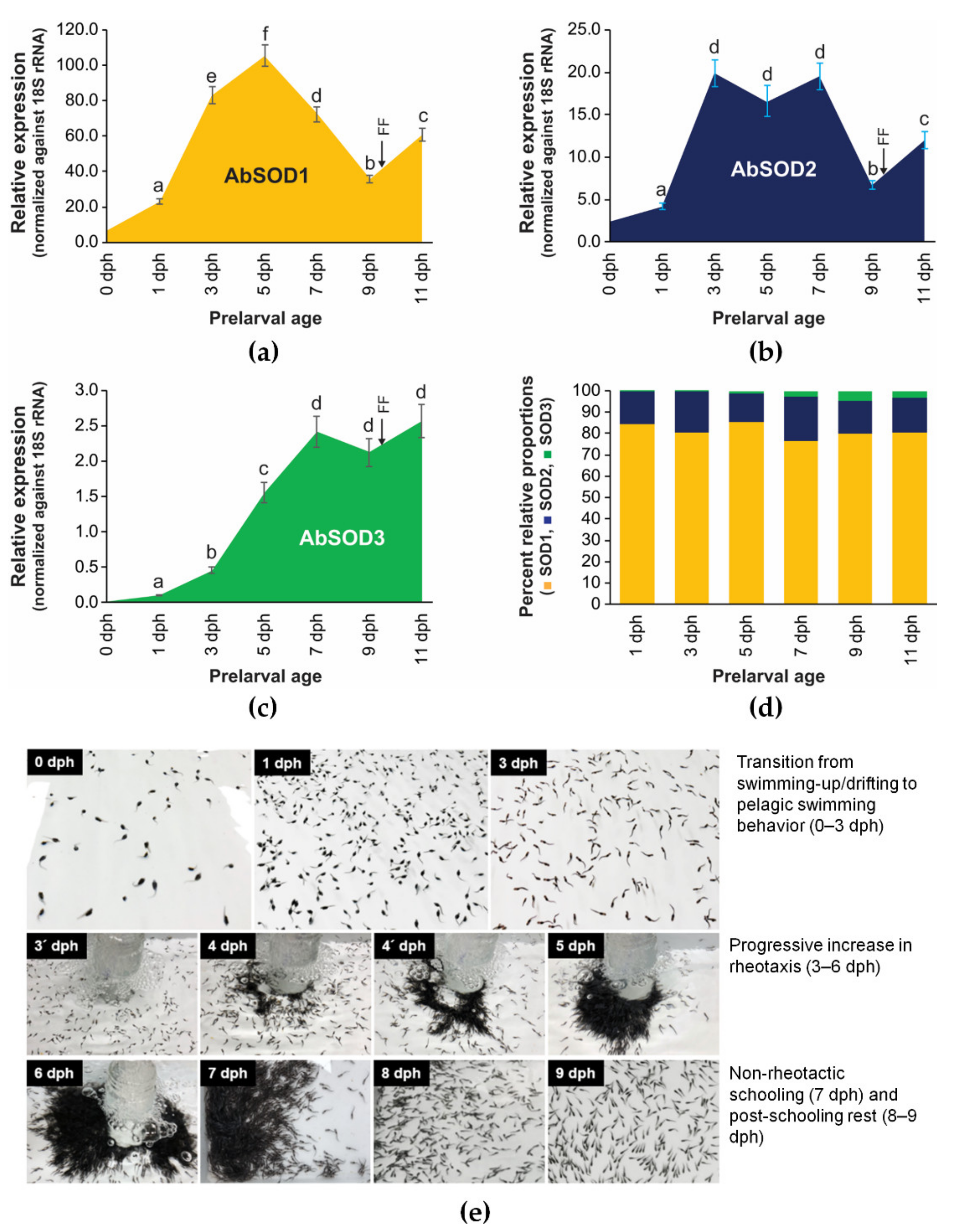 Antioxidants 10 00232 g006
