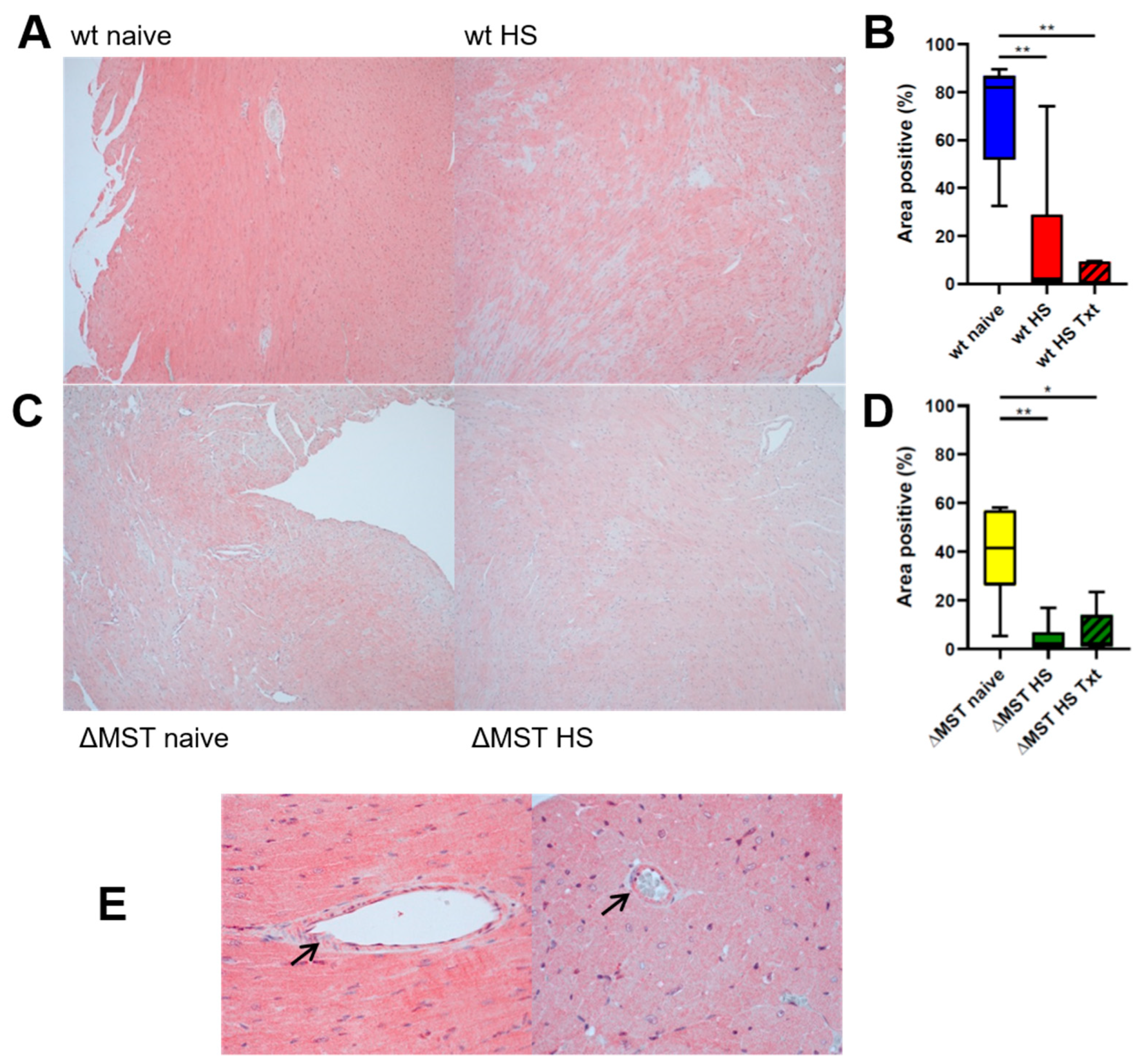 Antioxidants 10 00233 g001