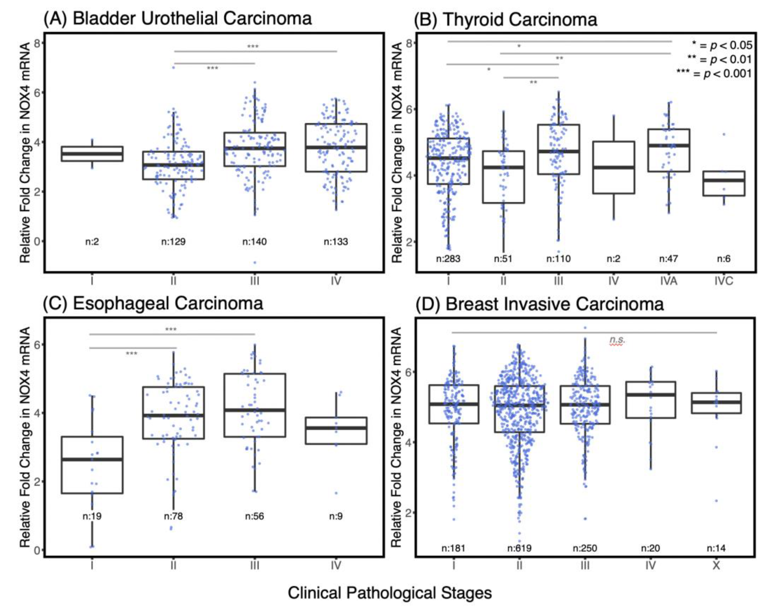 Antioxidants 10 00235 g002
