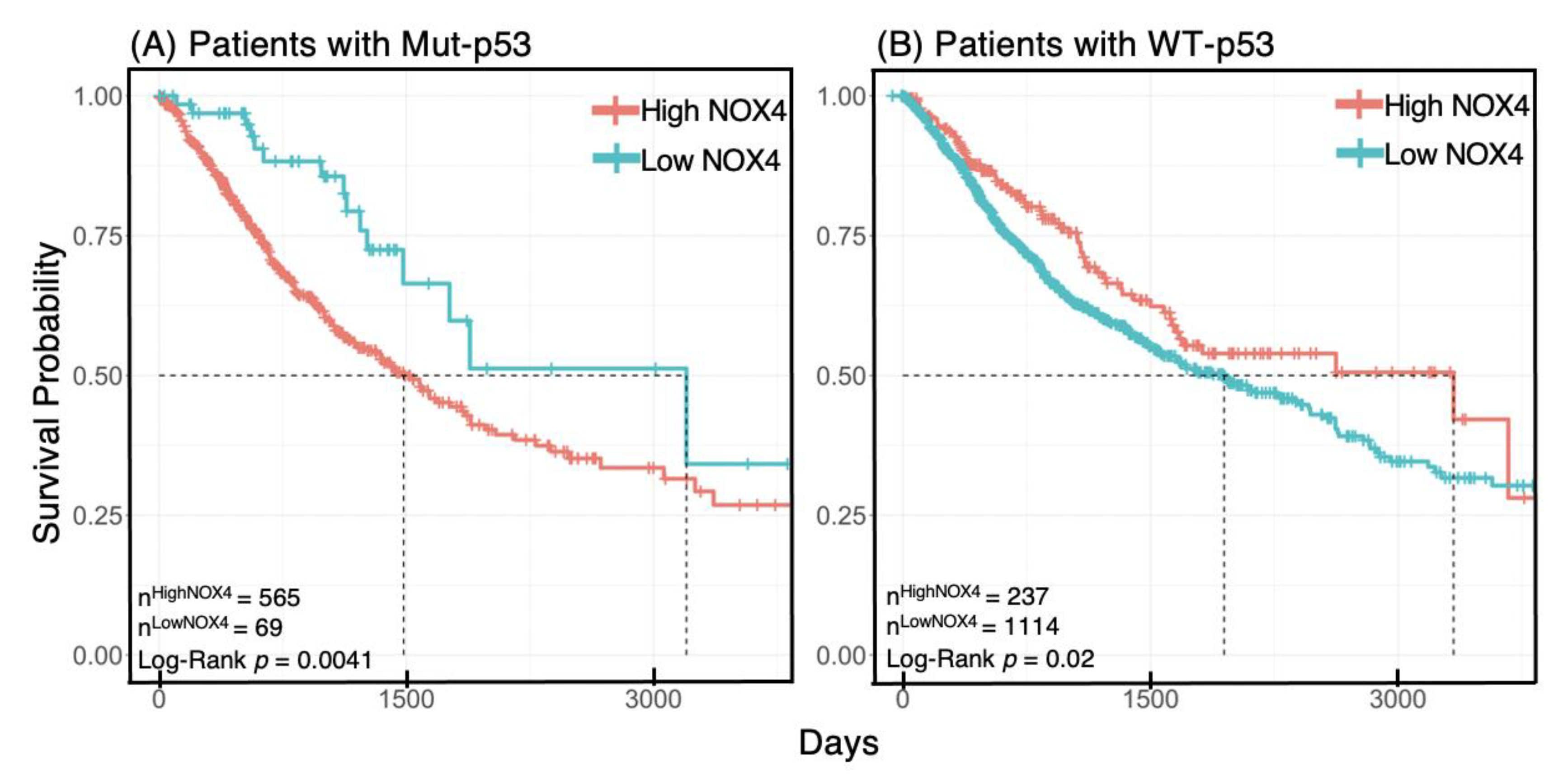 Antioxidants 10 00235 g007