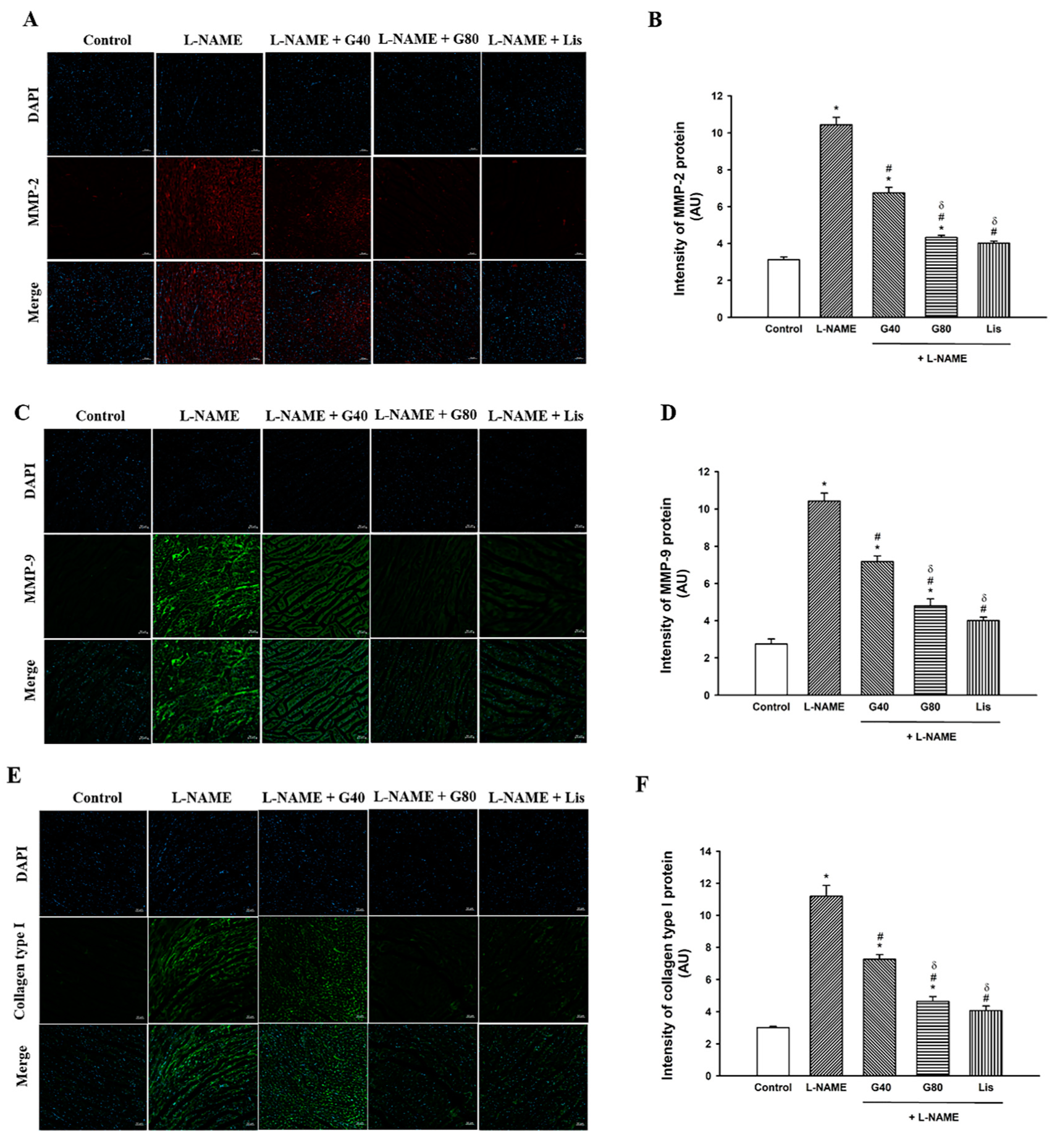 Antioxidants 10 00237 g003