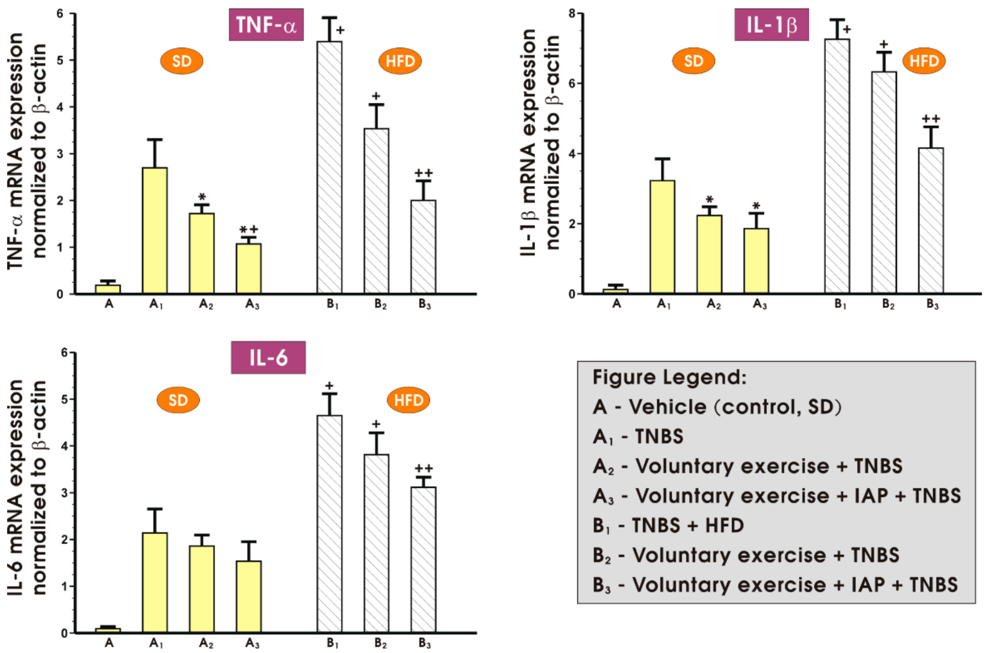 Antioxidants 10 00240 g003