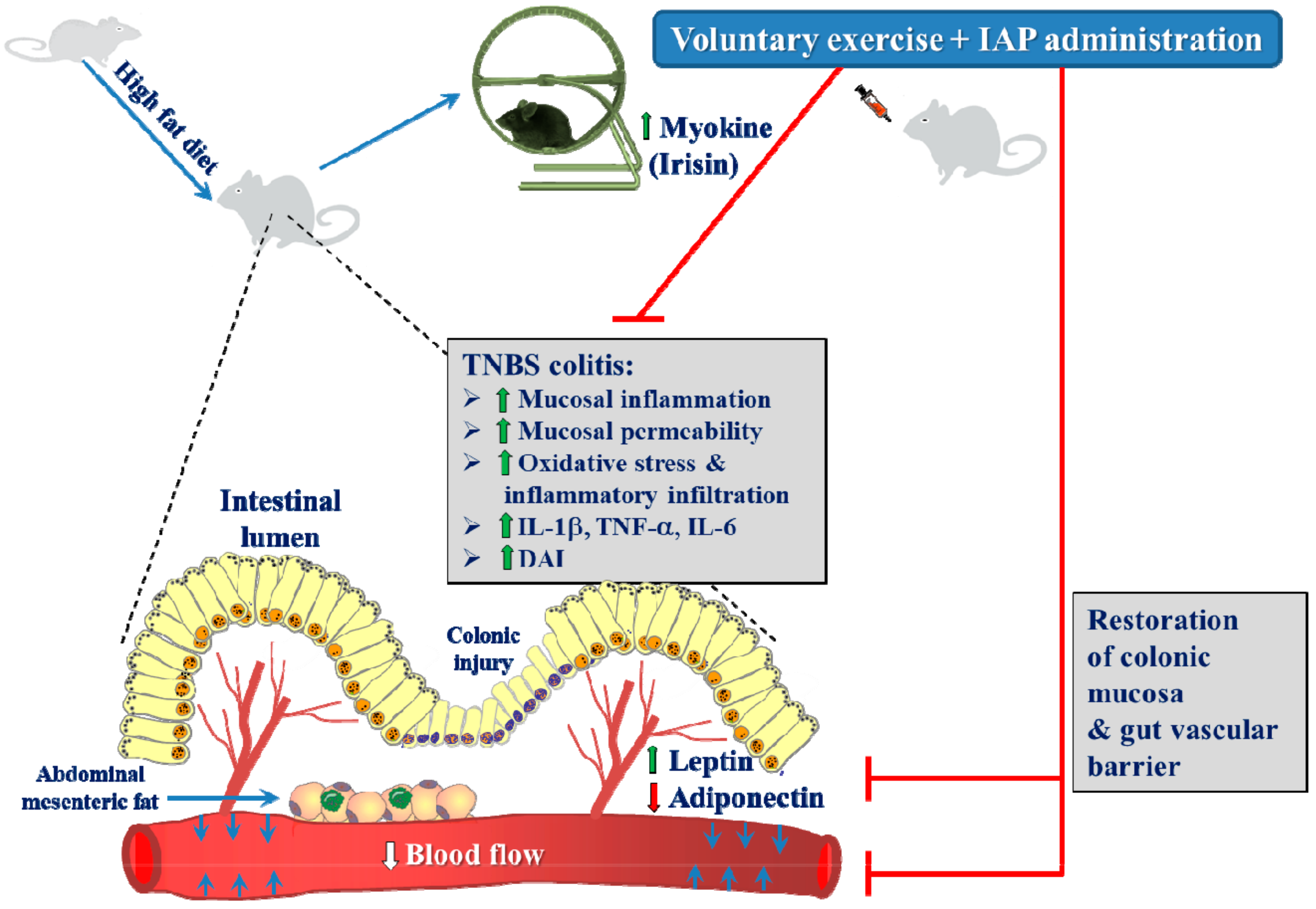 Antioxidants 10 00240 g007