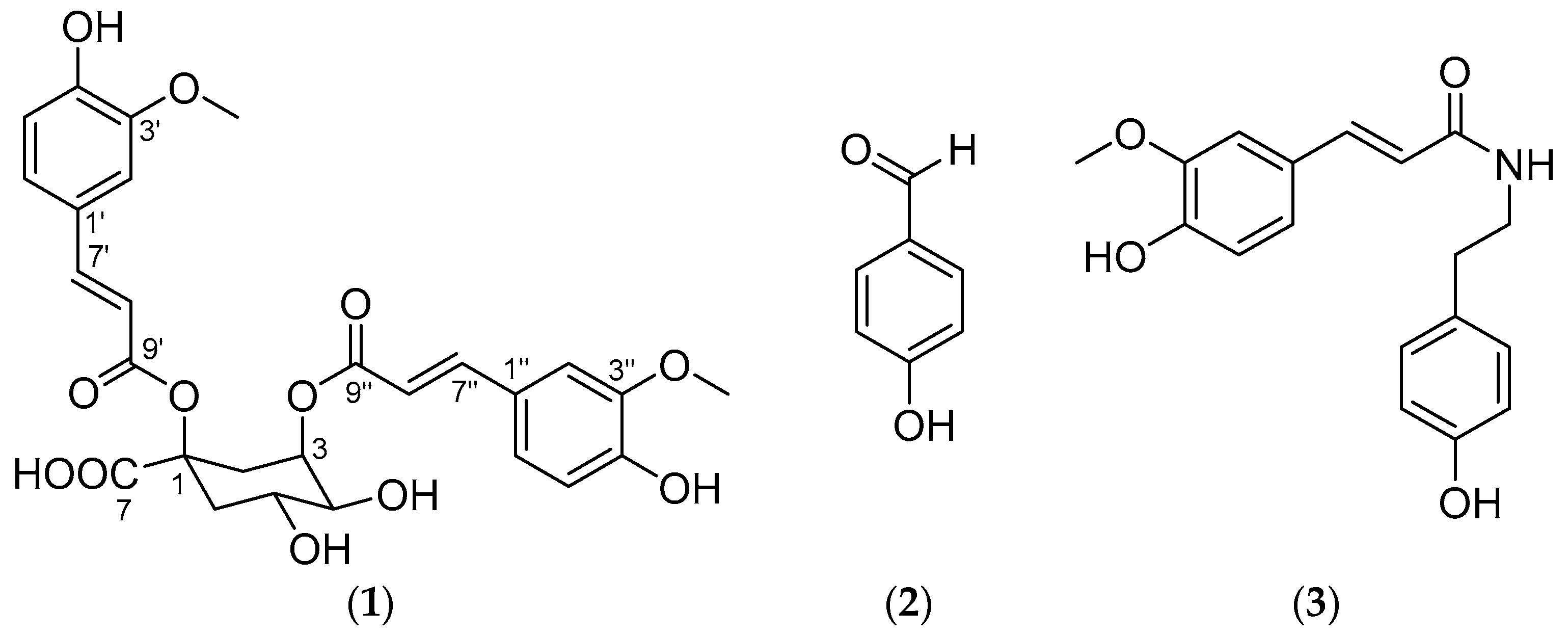 Antioxidants 10 00242 g001