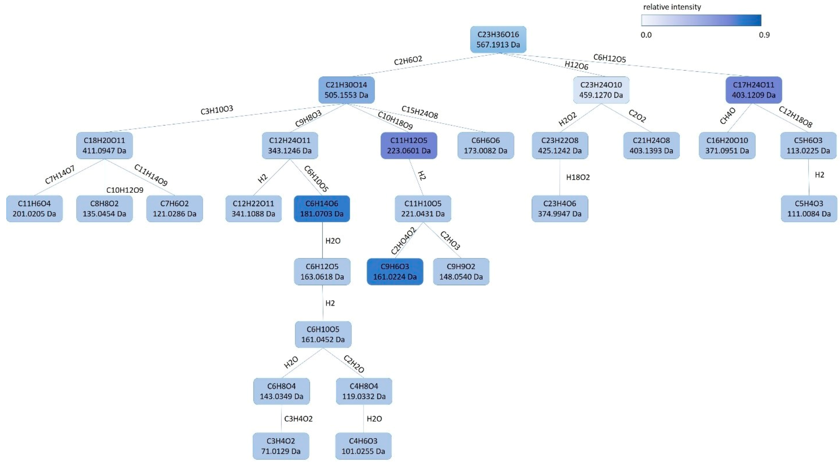 Antioxidants 10 00245 g002