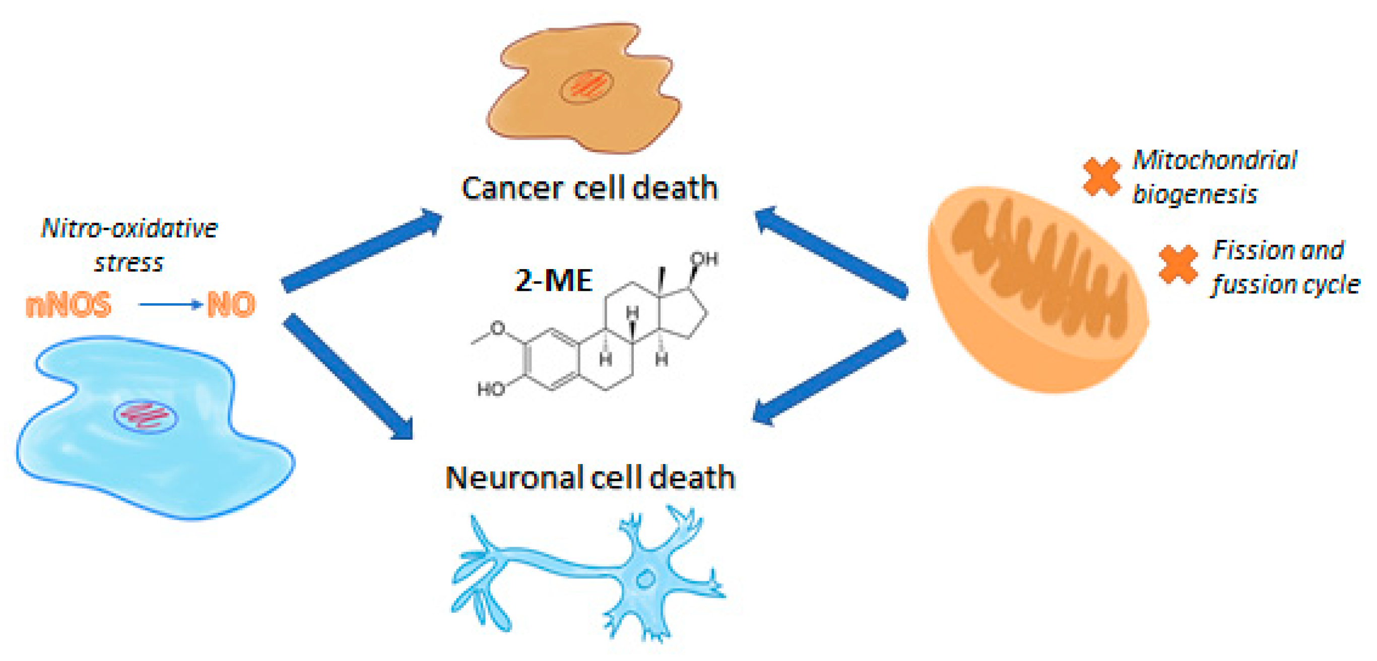 Antioxidants 10 00248 g001