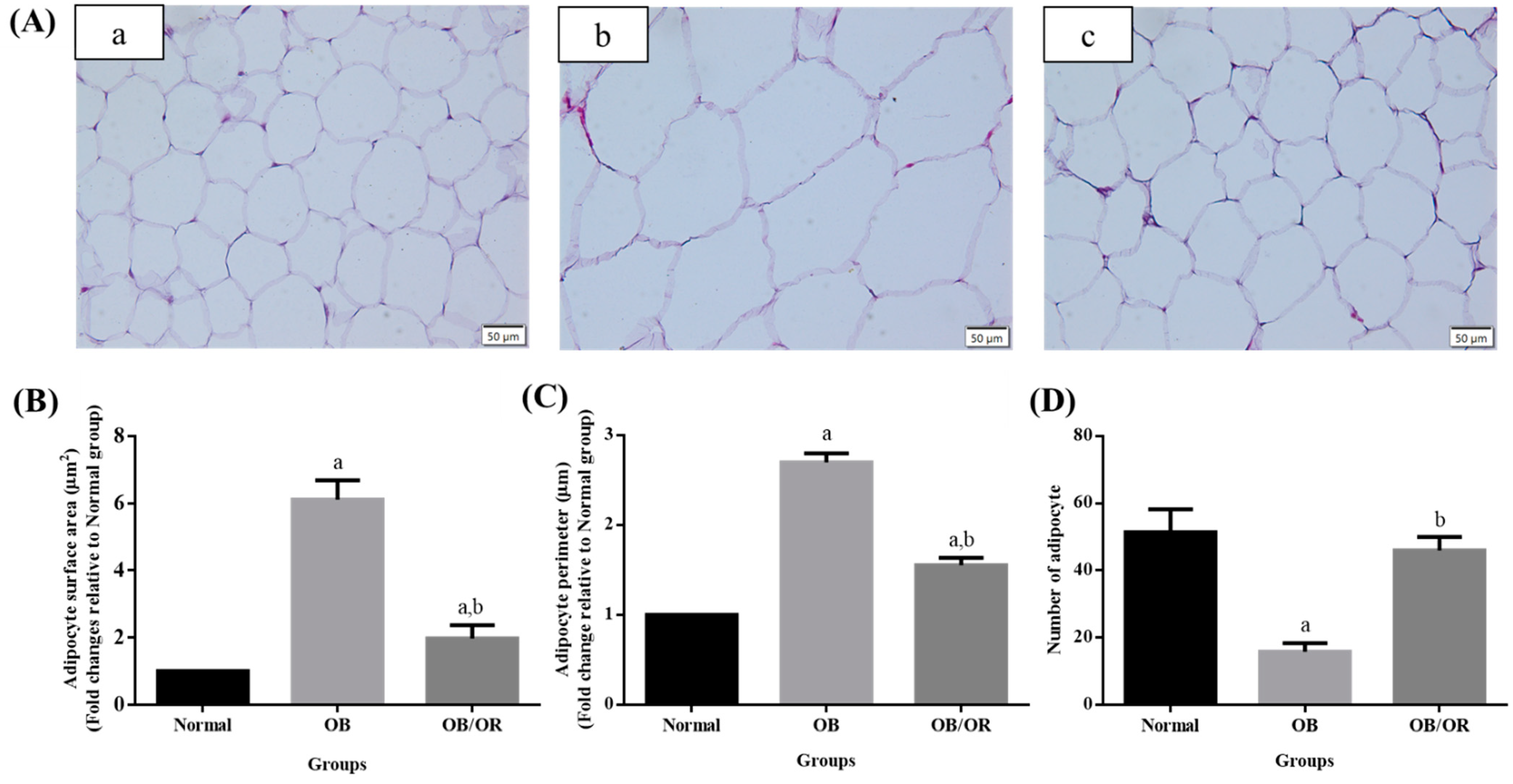 Antioxidants 10 00251 g004