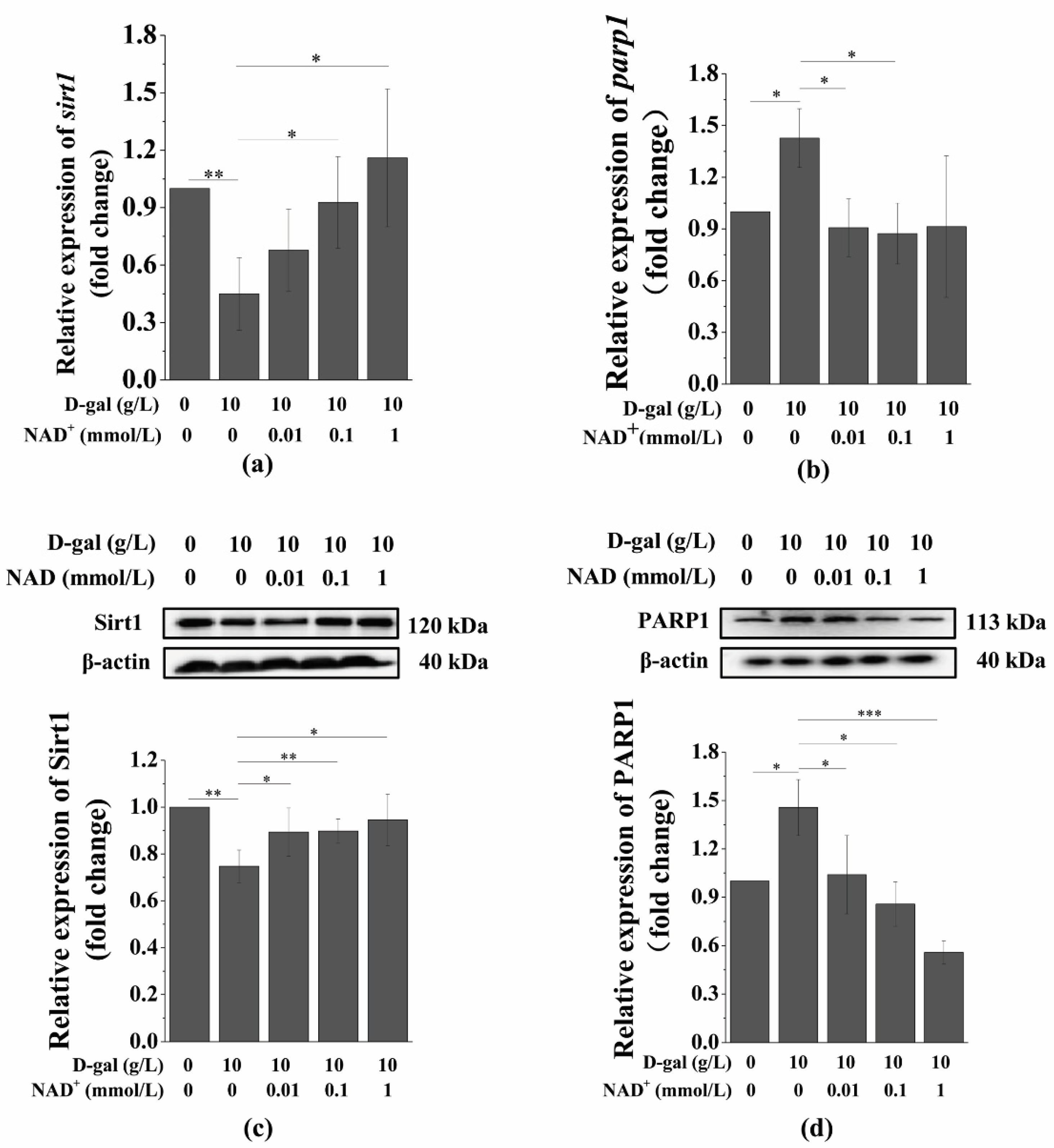 Antioxidants 10 00254 g005