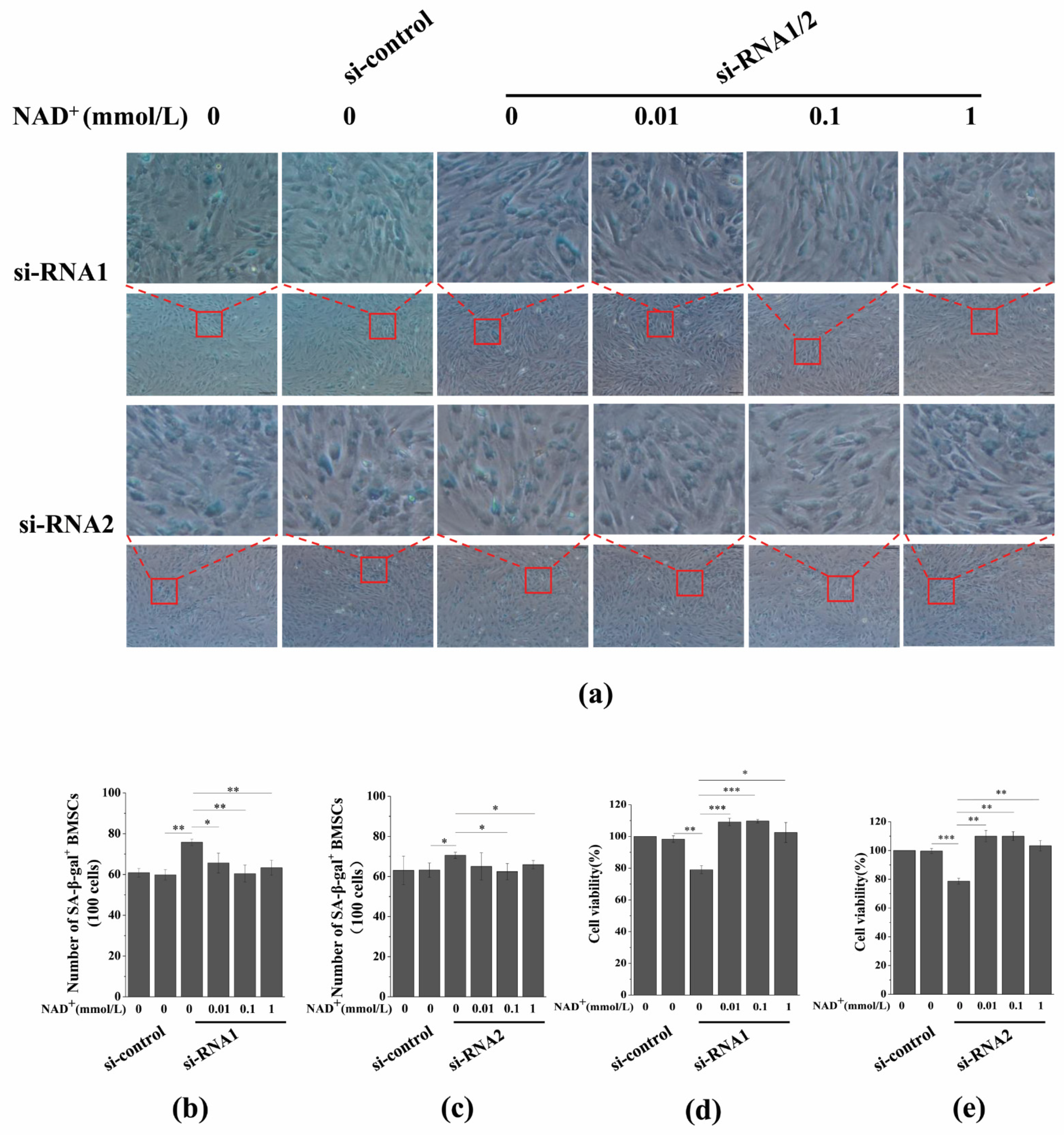 Antioxidants 10 00254 g008
