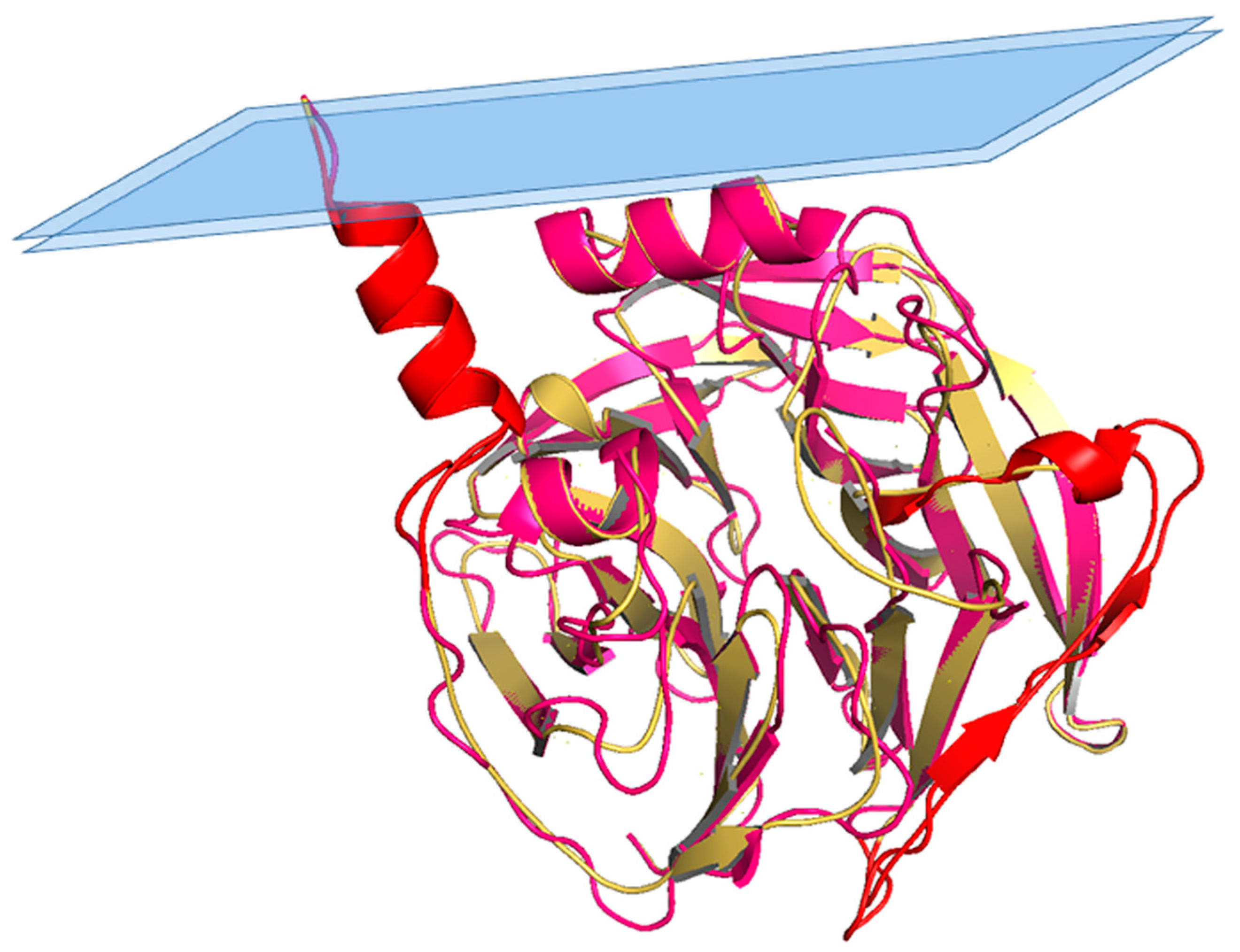 Antioxidants 10 00256 g002
