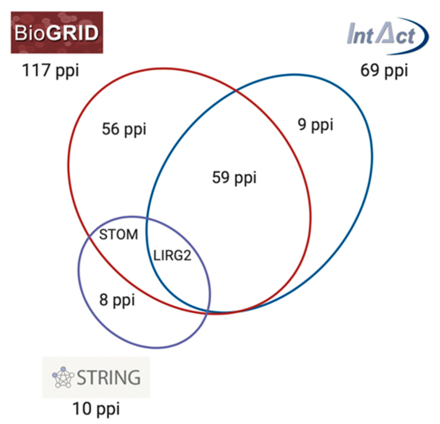 Antioxidants 10 00256 g004