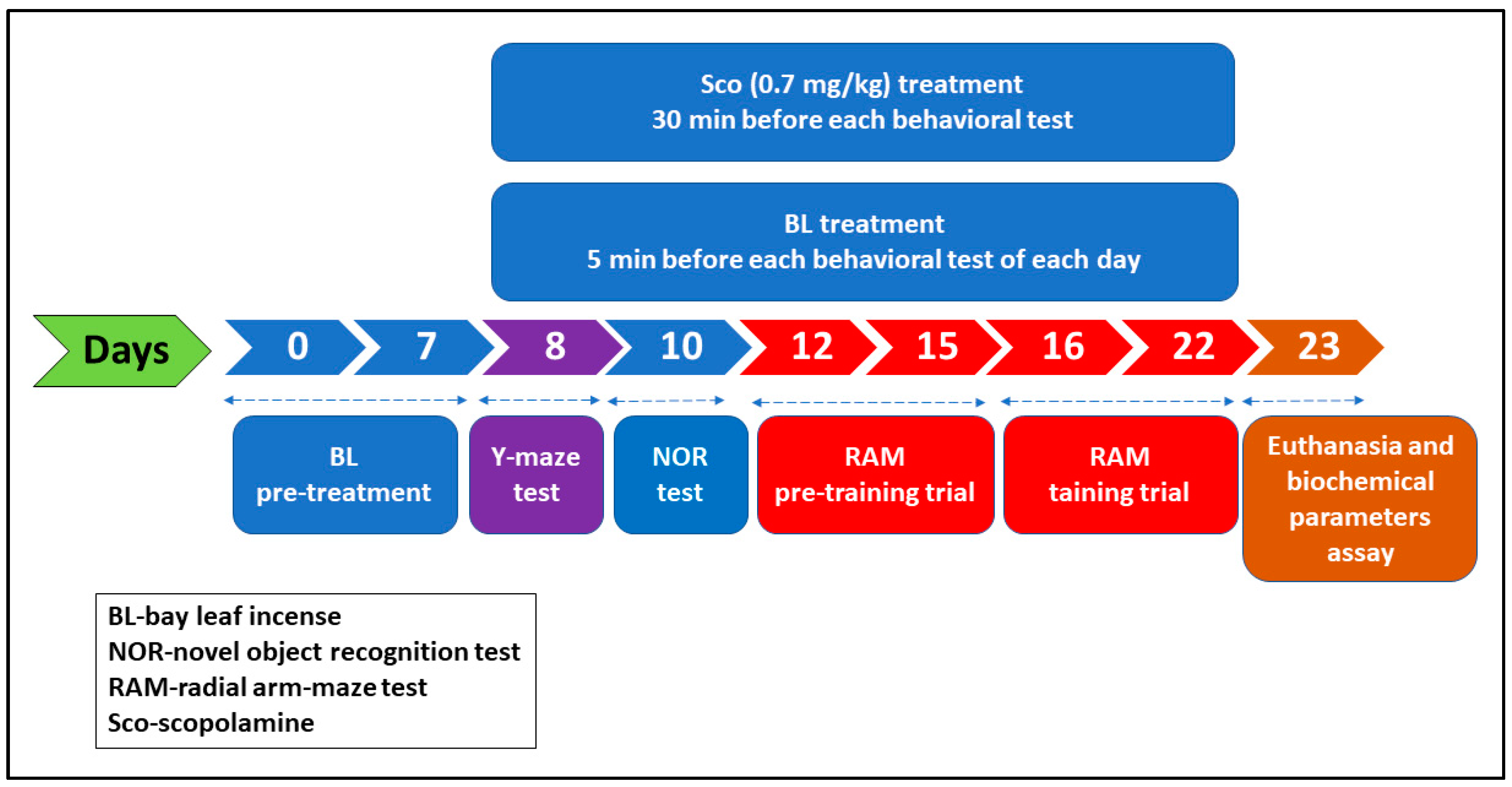 Antioxidants 10 00259 g001