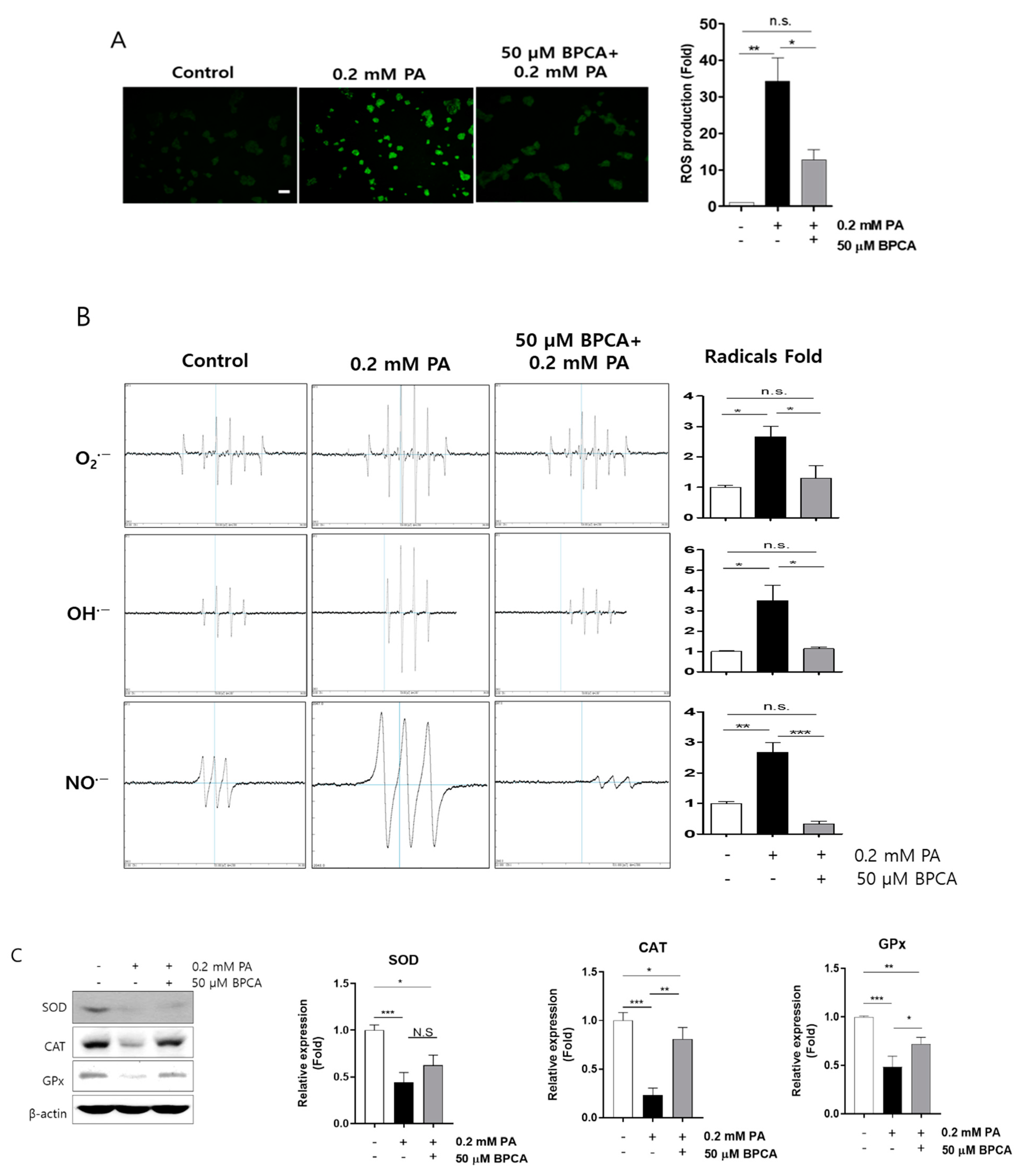 Antioxidants 10 00264 g003 Antioxidants 10 00264 g003