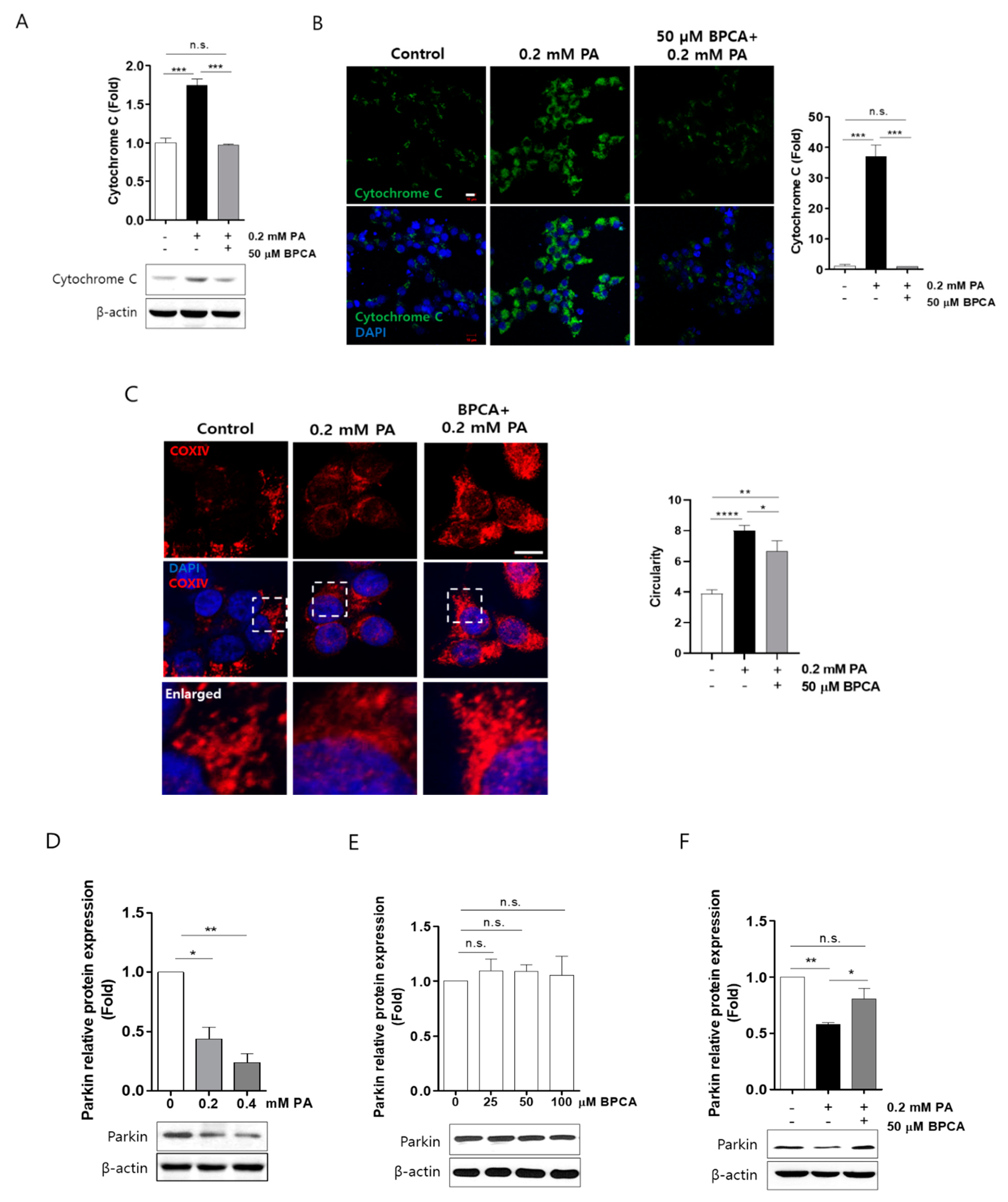 Antioxidants 10 00264 g004 Antioxidants 10 00264 g004