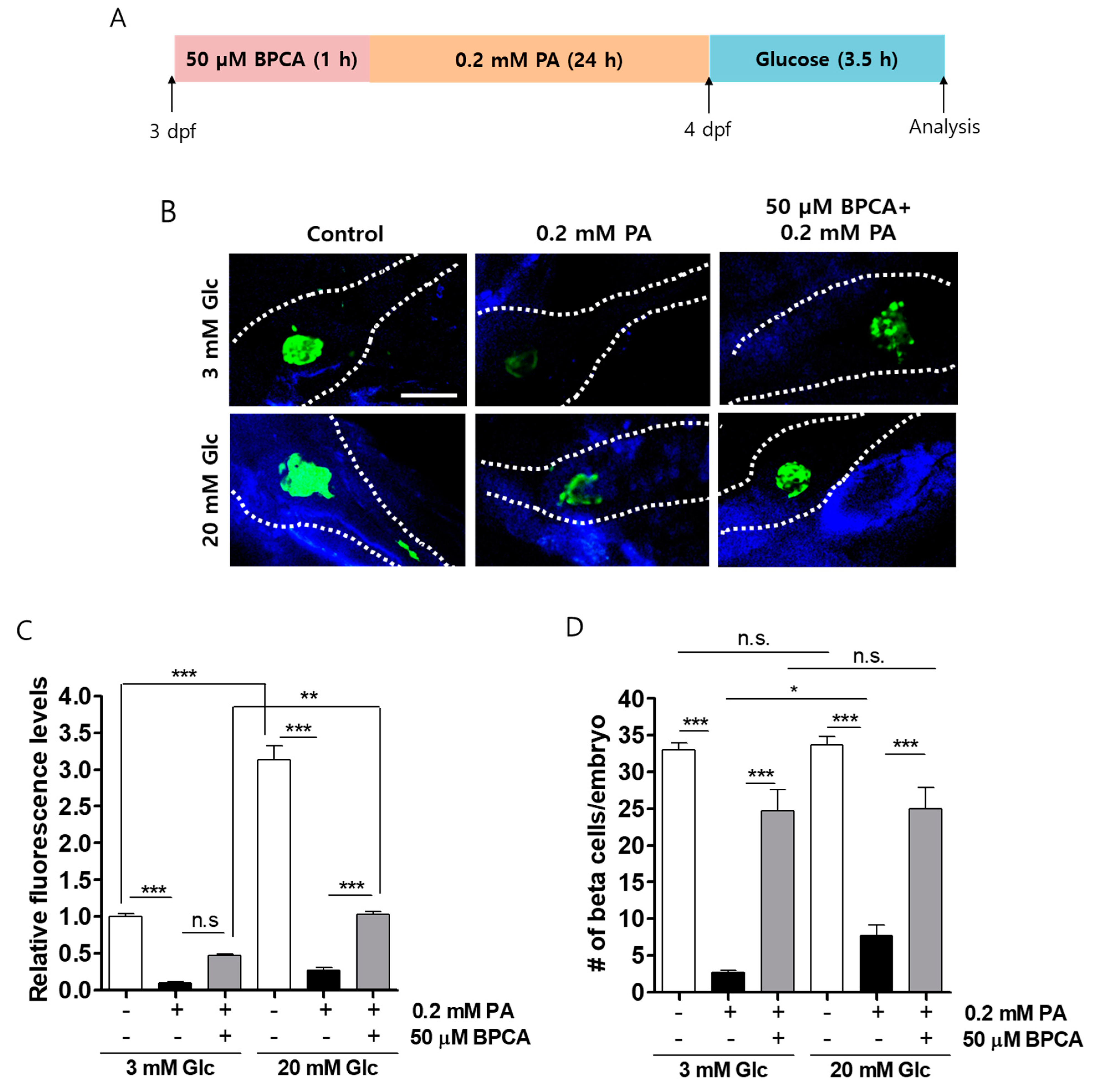 Antioxidants 10 00264 g005 Antioxidants 10 00264 g005