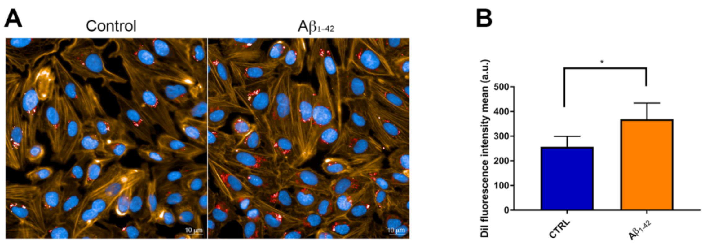 Antioxidants 10 00266 g004
