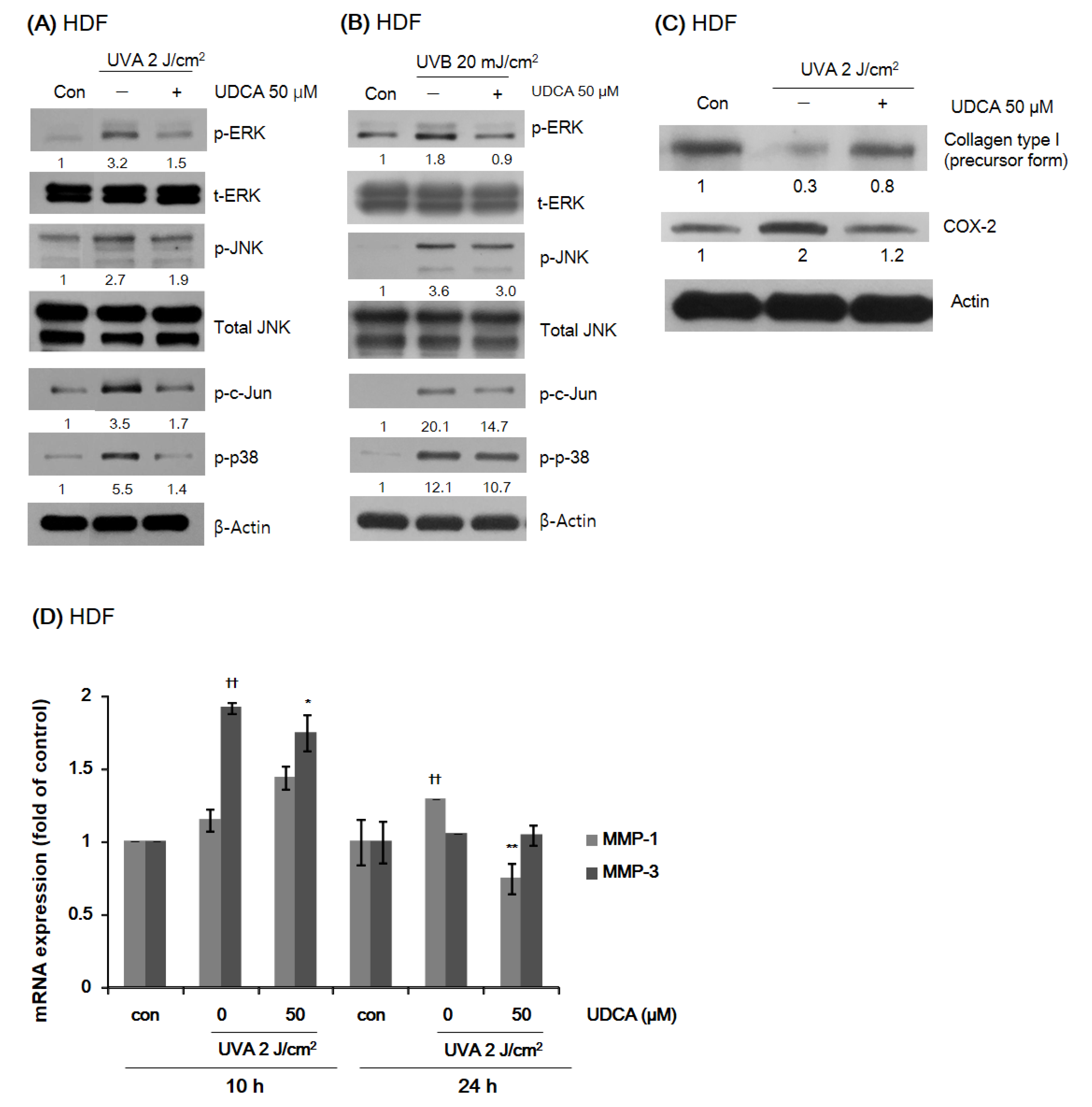 Antioxidants 10 00267 g003