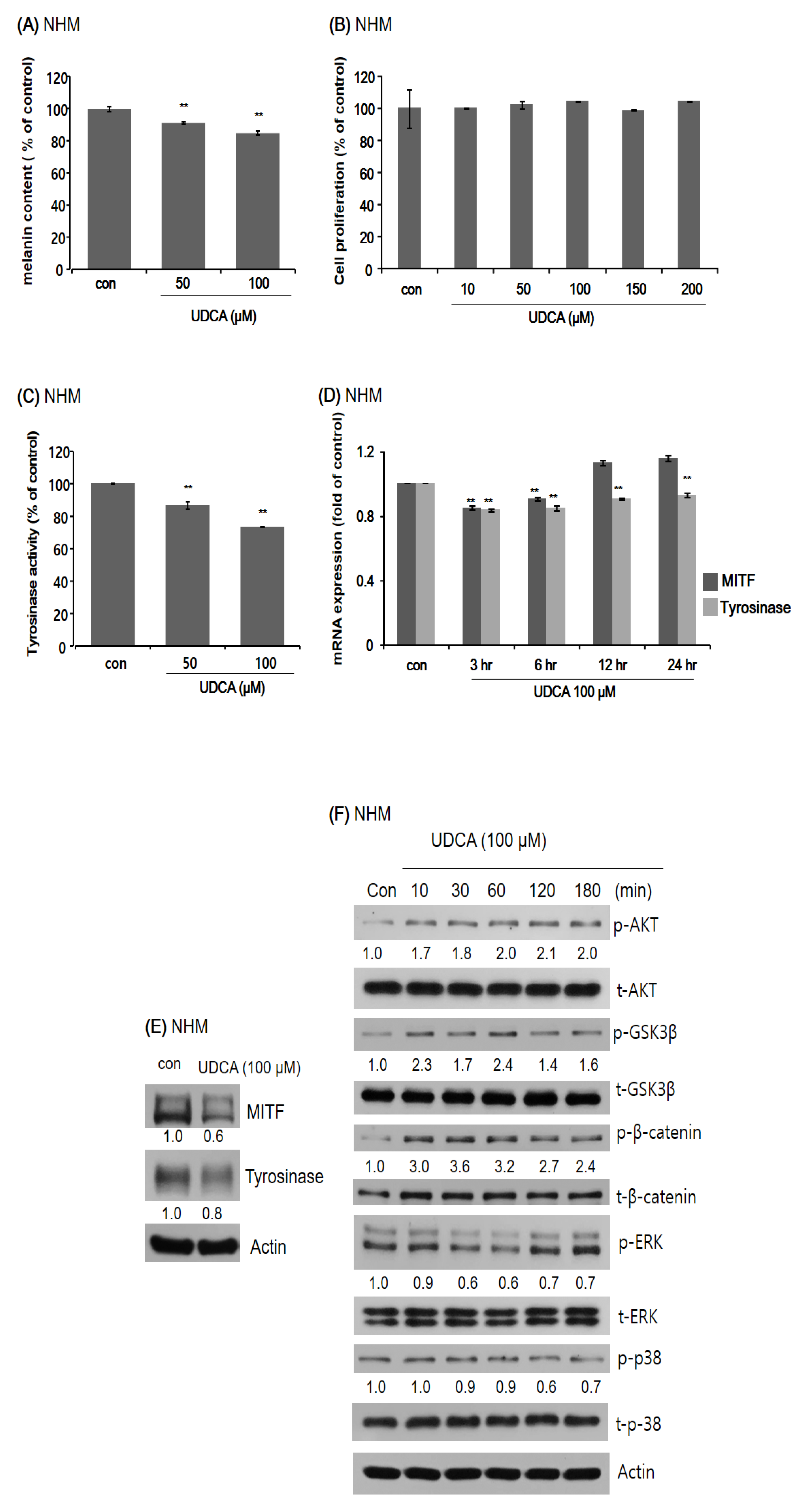 Antioxidants 10 00267 g004