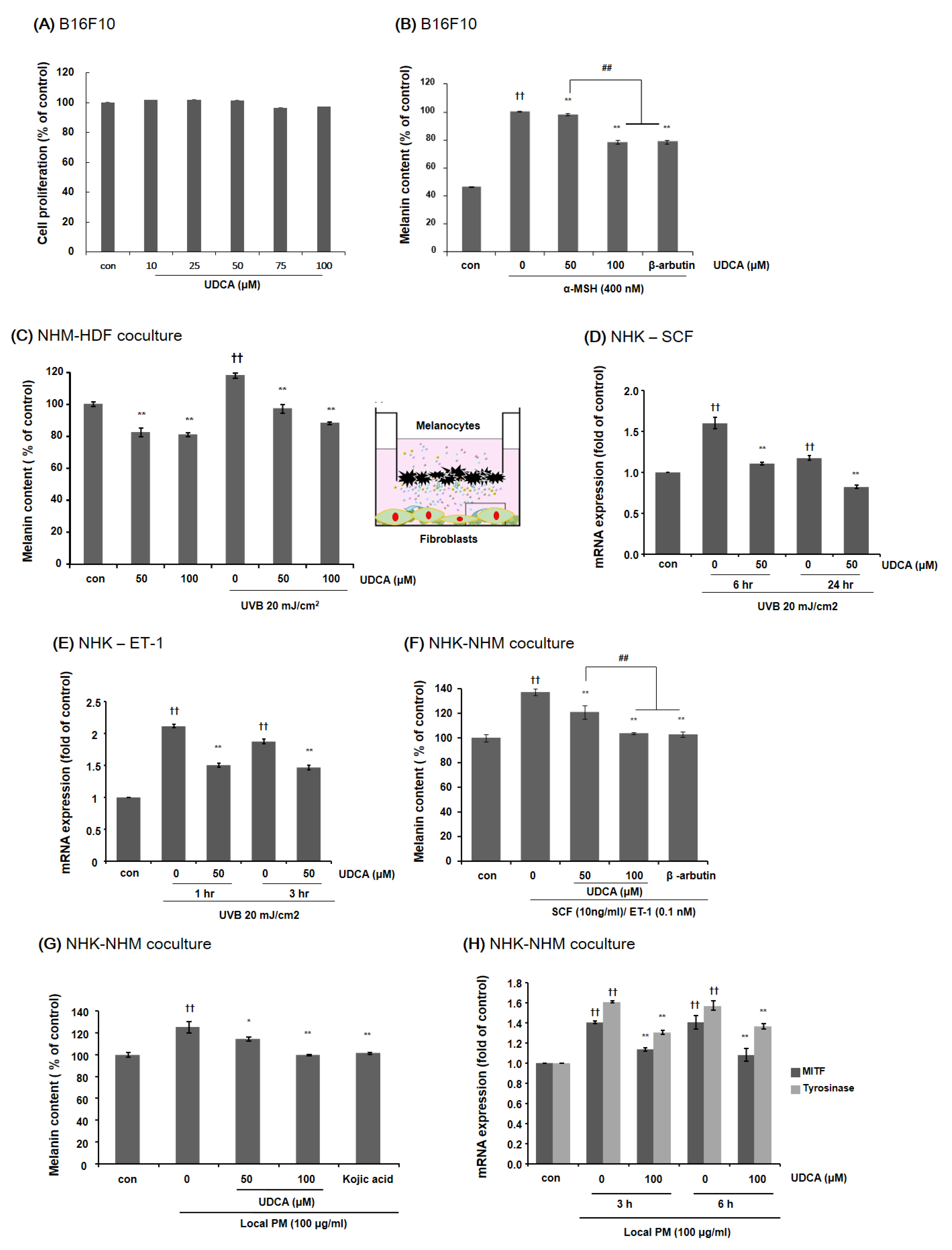 Antioxidants 10 00267 g005