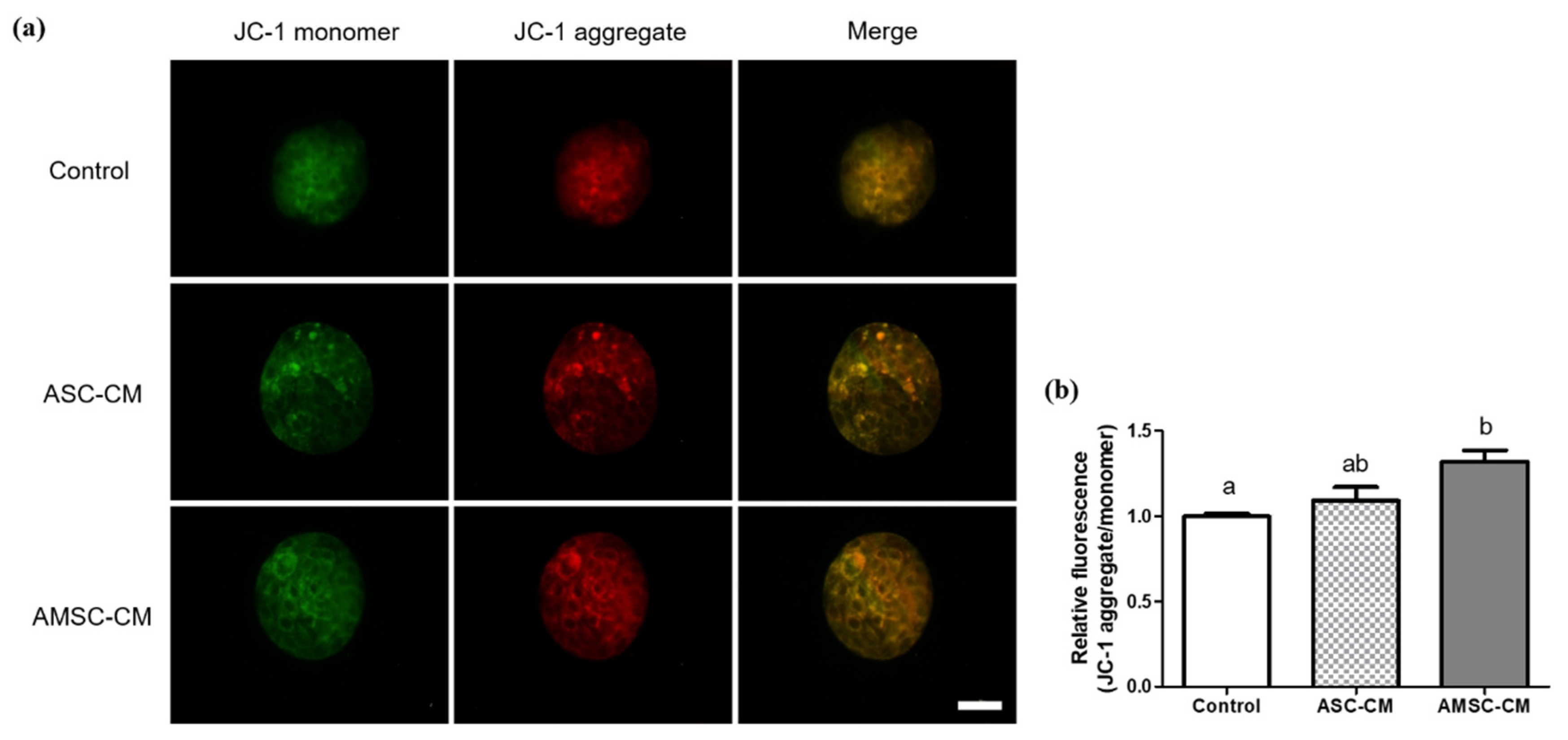Antioxidants 10 00268 g008