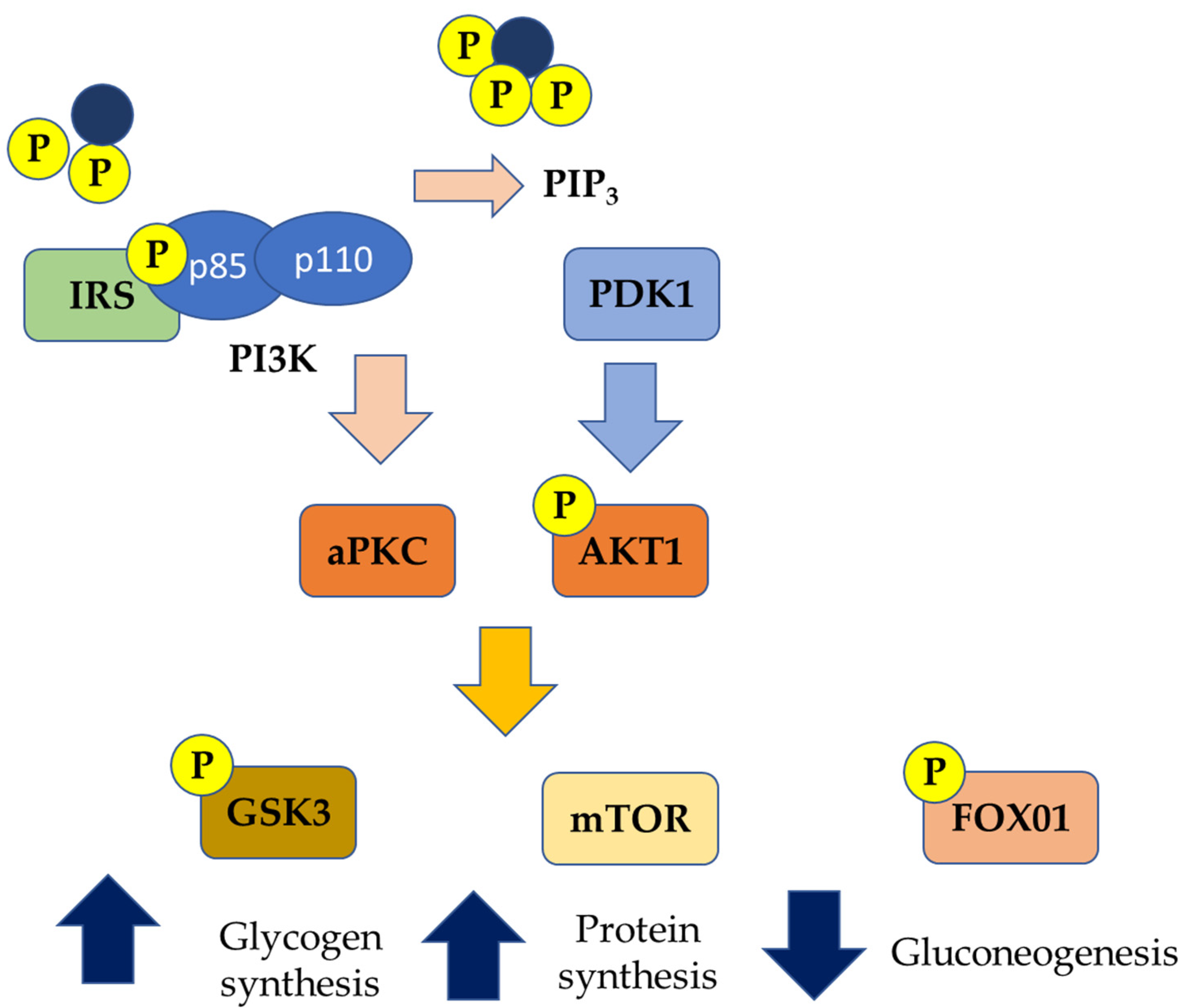 Antioxidants 10 00270 g002