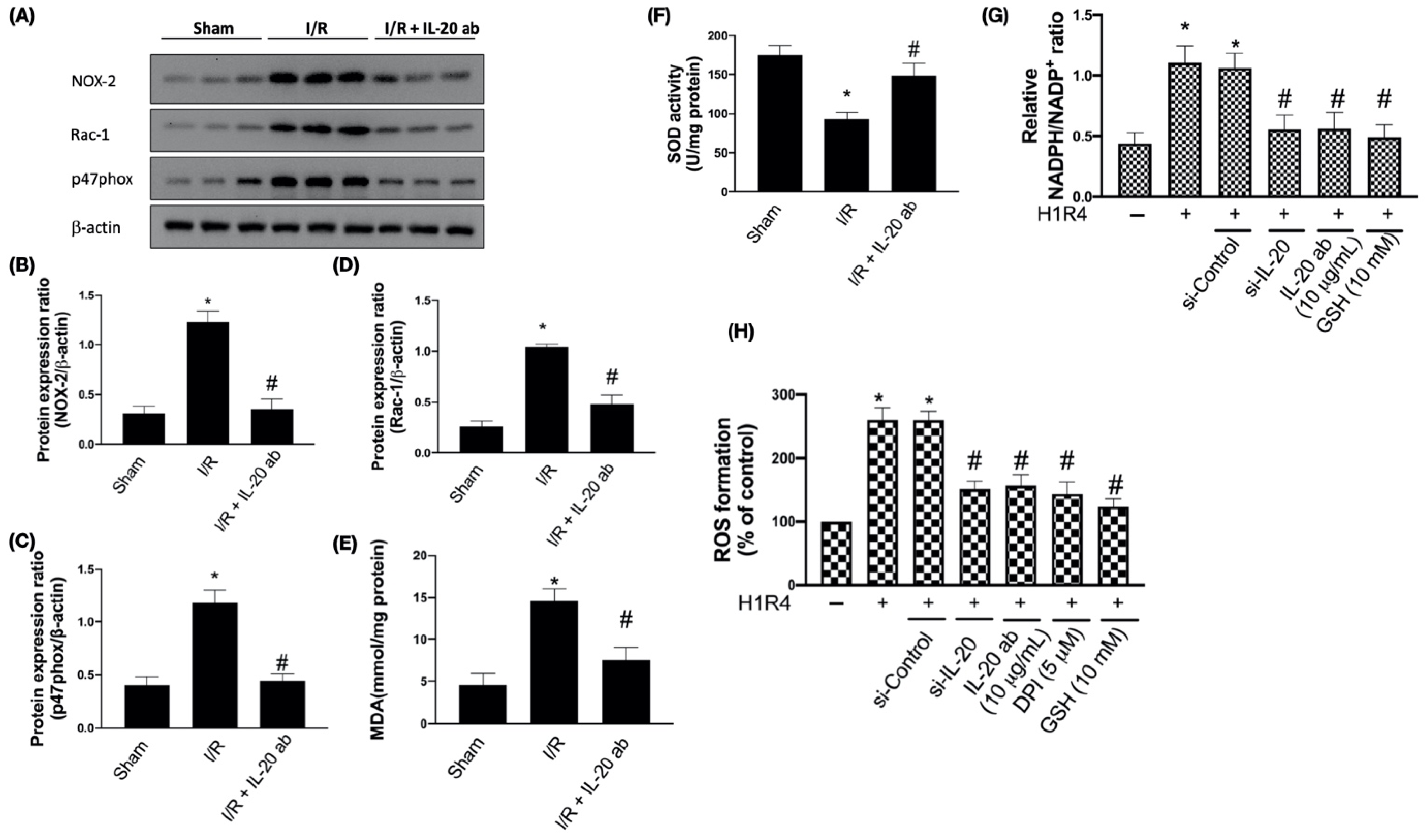 Antioxidants 10 00275 g001 Antioxidants 10 00275 g001