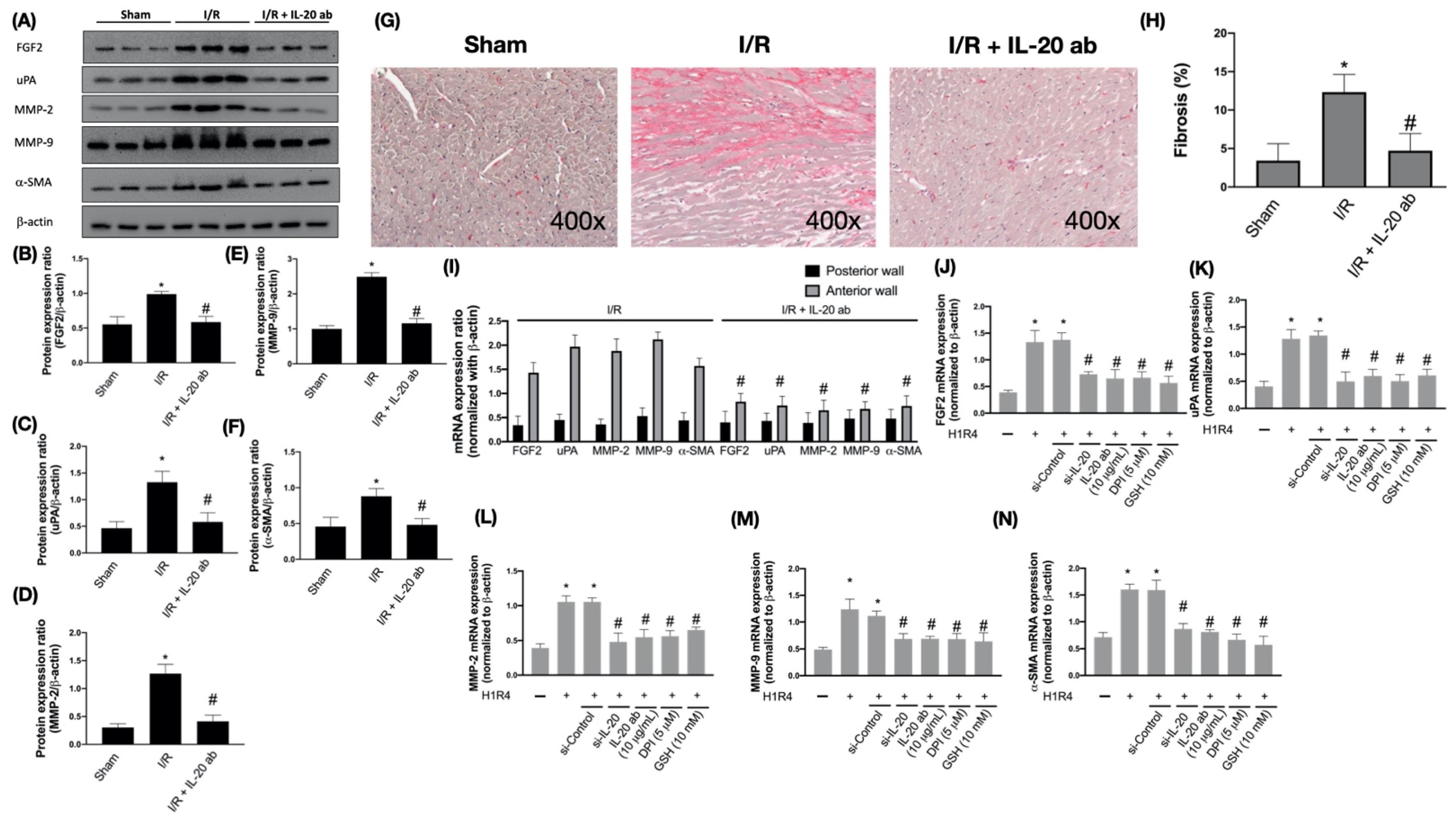 Antioxidants 10 00275 g005 Antioxidants 10 00275 g005