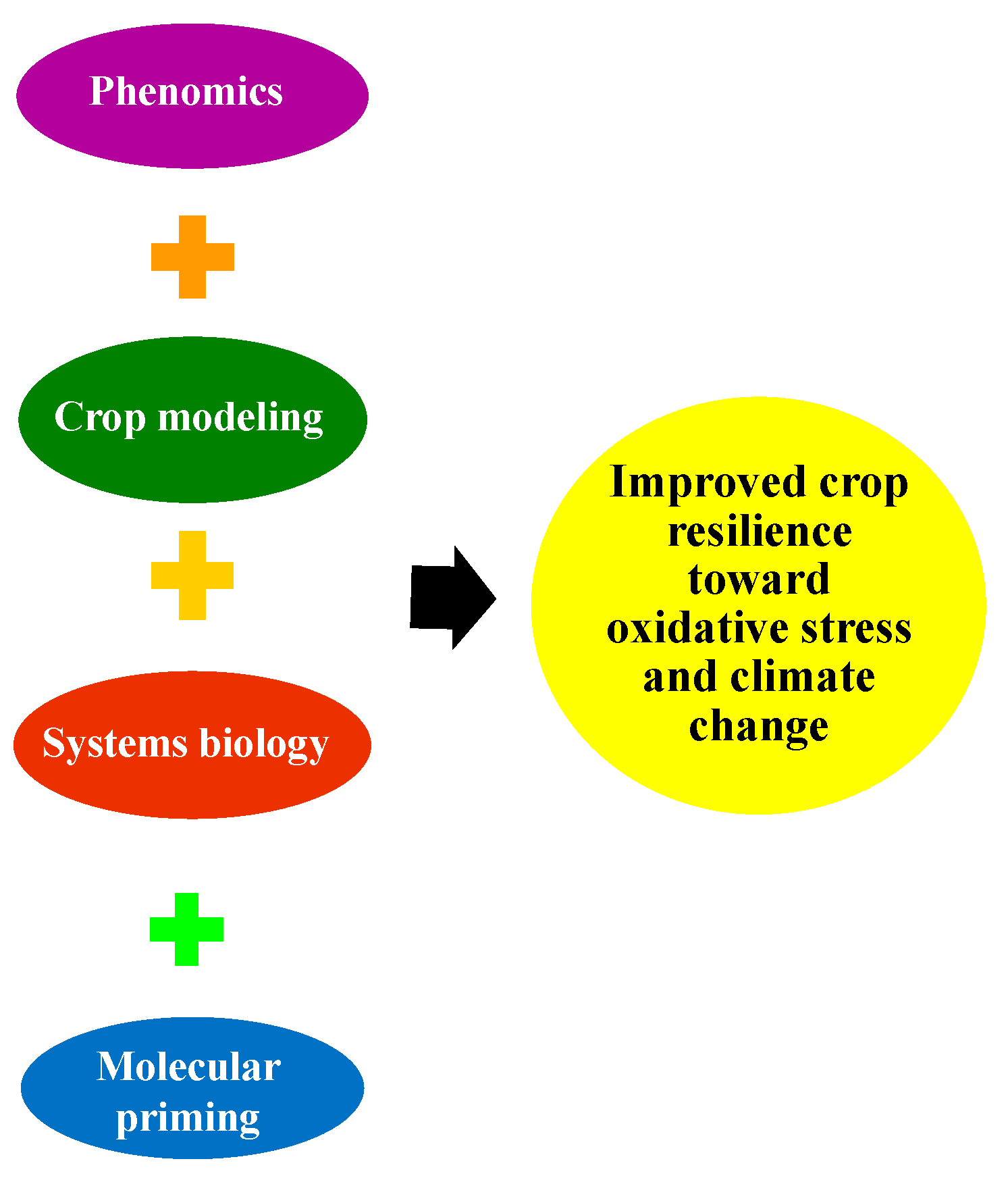 Antioxidants 10 00277 g008