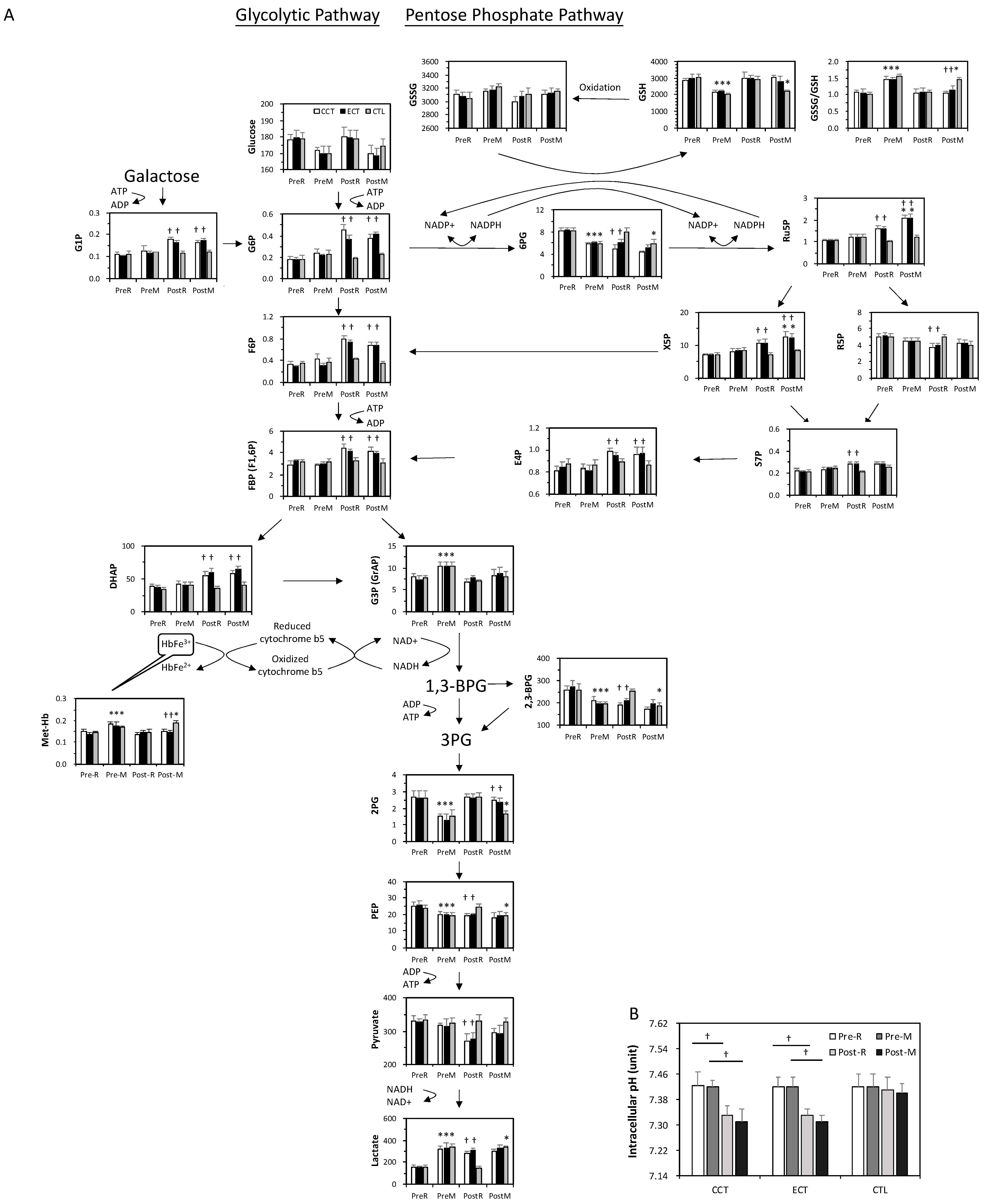 Antioxidants 10 00285 g004
