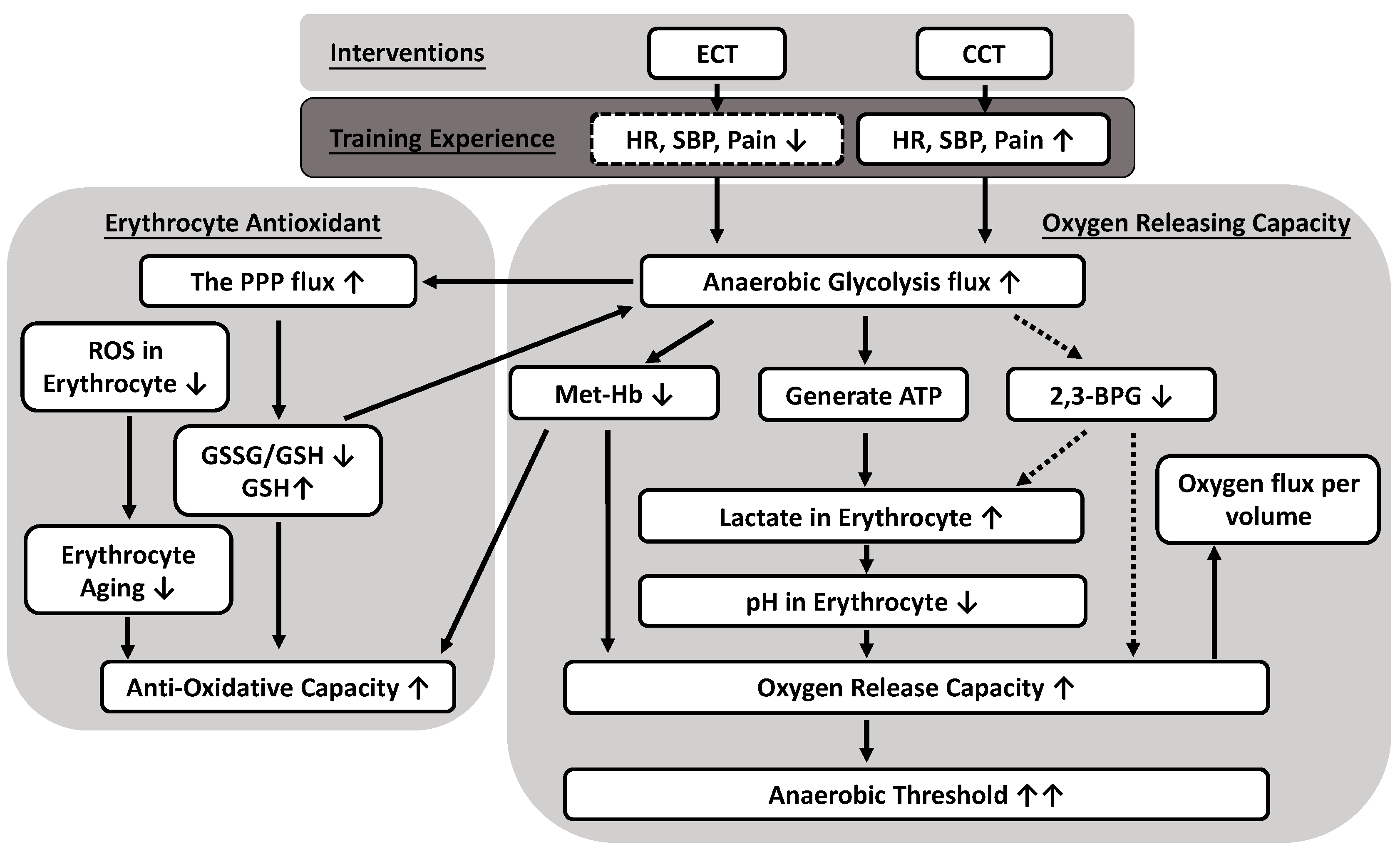 Antioxidants 10 00285 g007