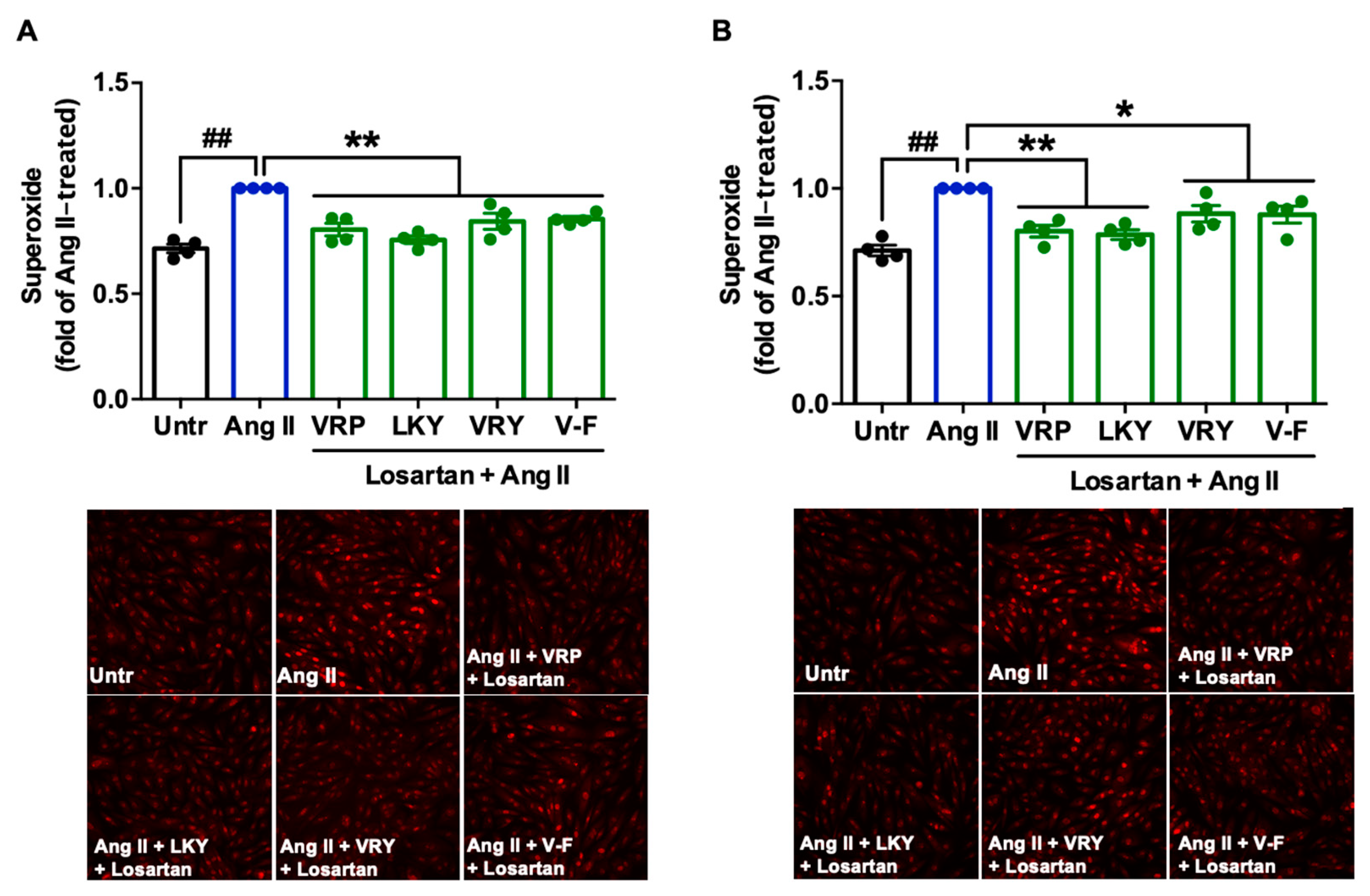 Antioxidants 10 00290 g006