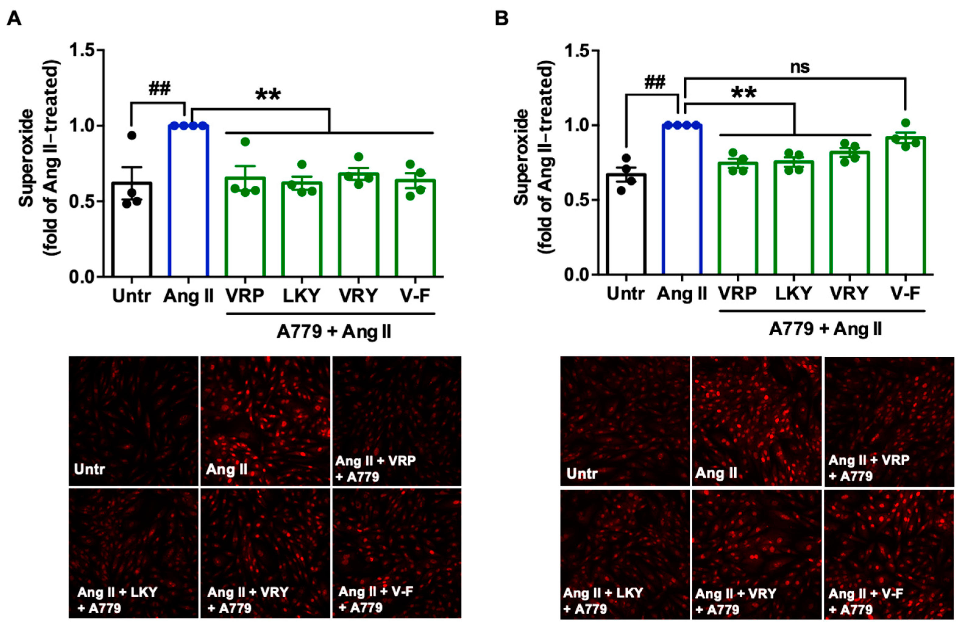 Antioxidants 10 00290 g007