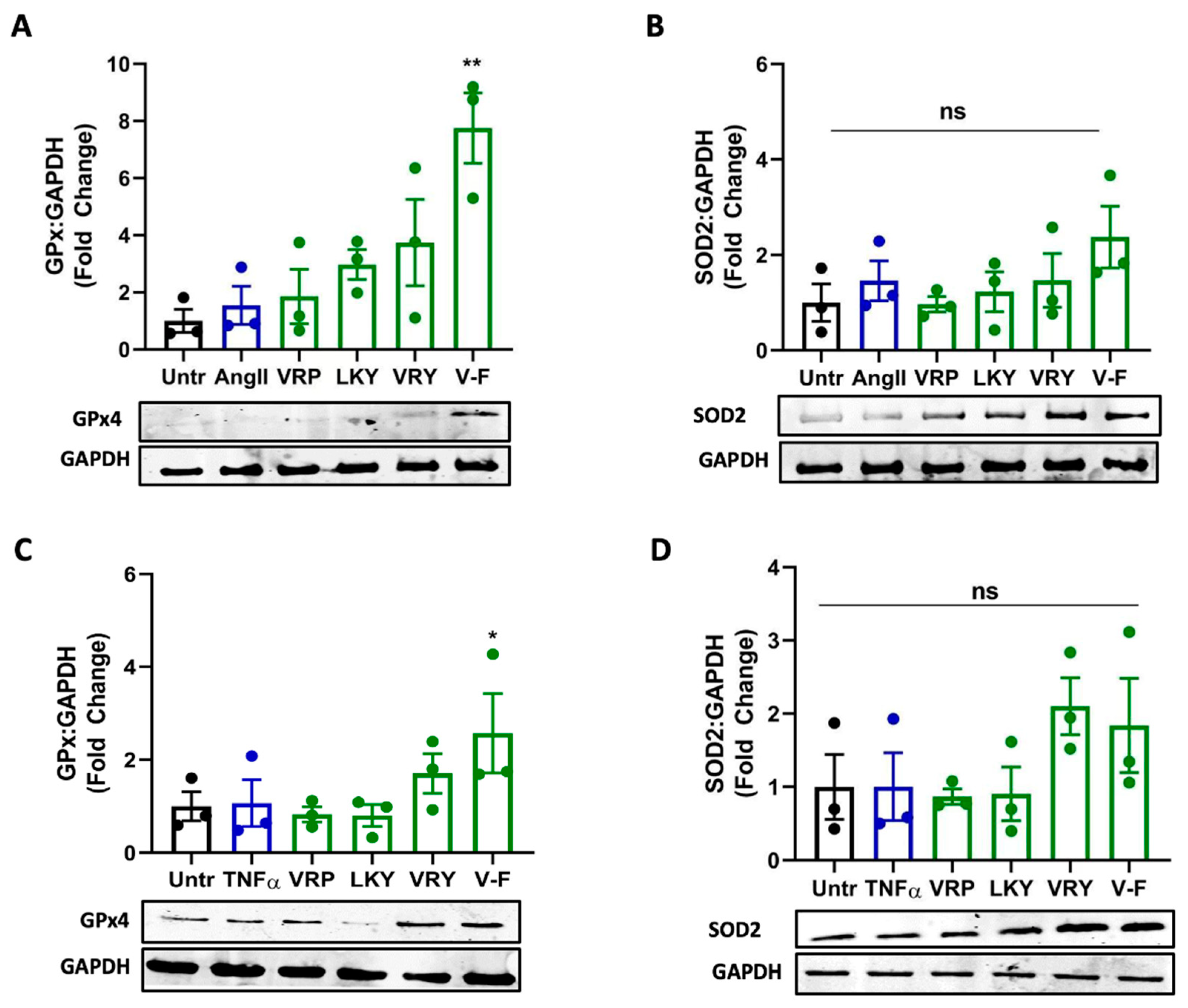 Antioxidants 10 00290 g008