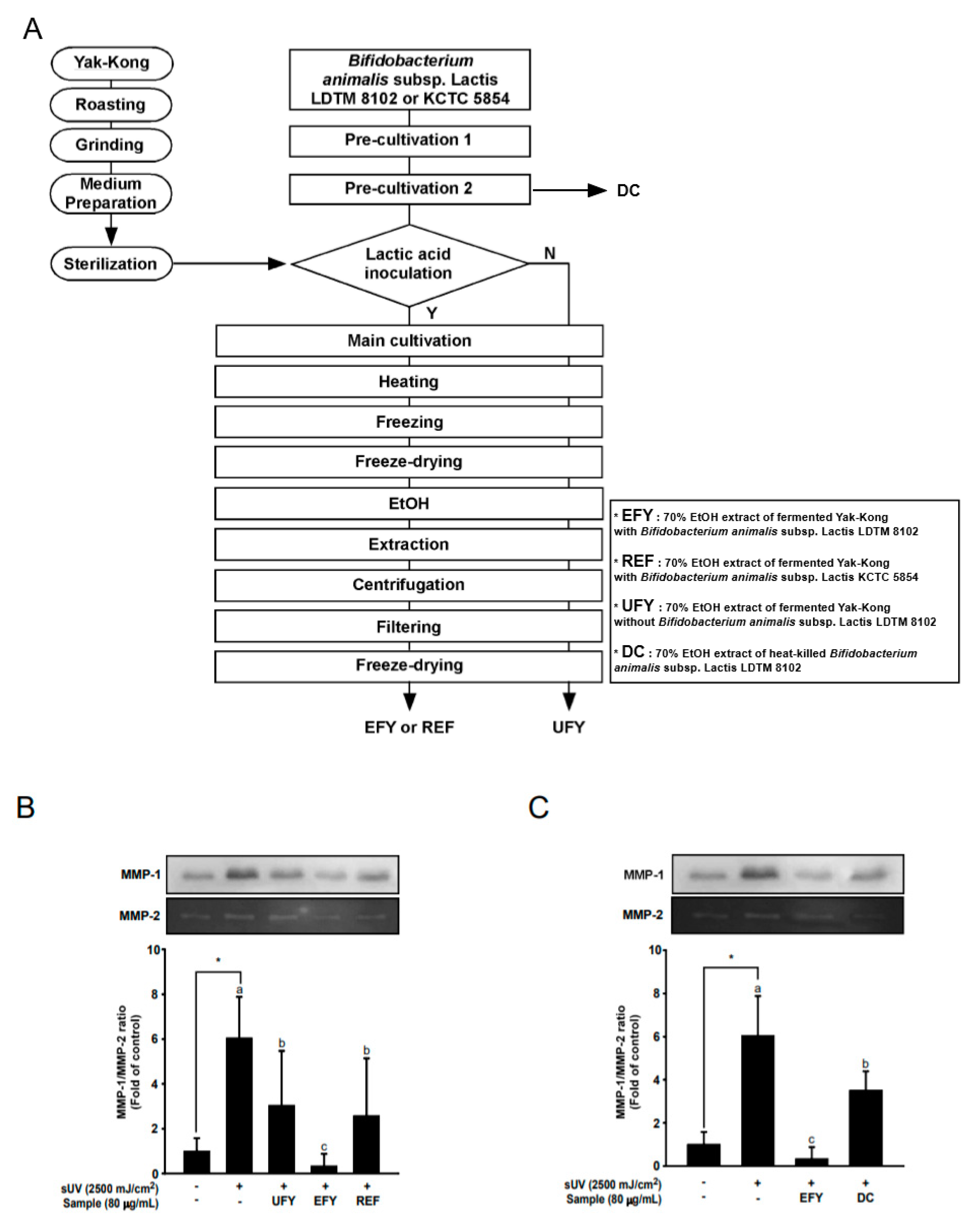 Antioxidants 10 00291 g001
