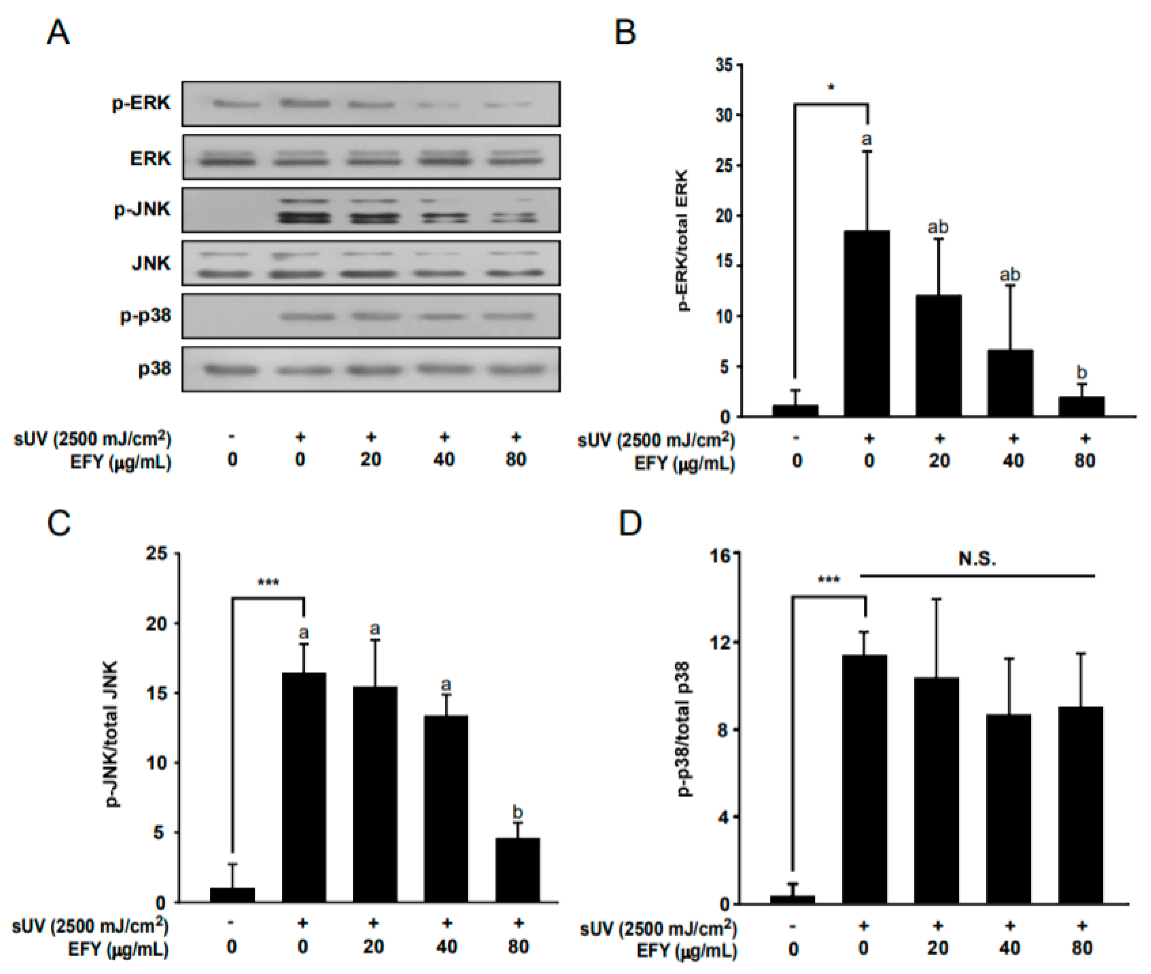 Antioxidants 10 00291 g004