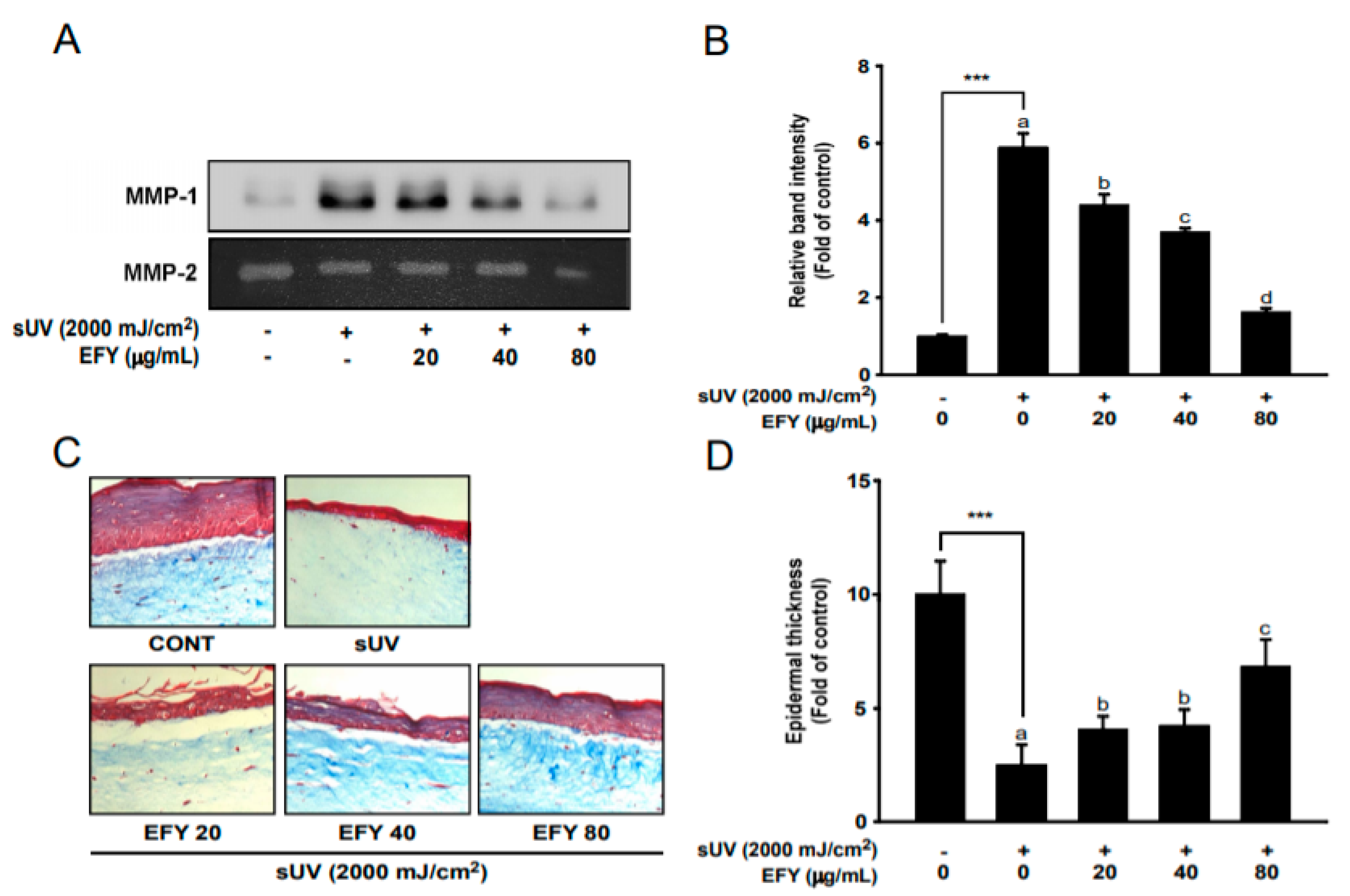 Antioxidants 10 00291 g005