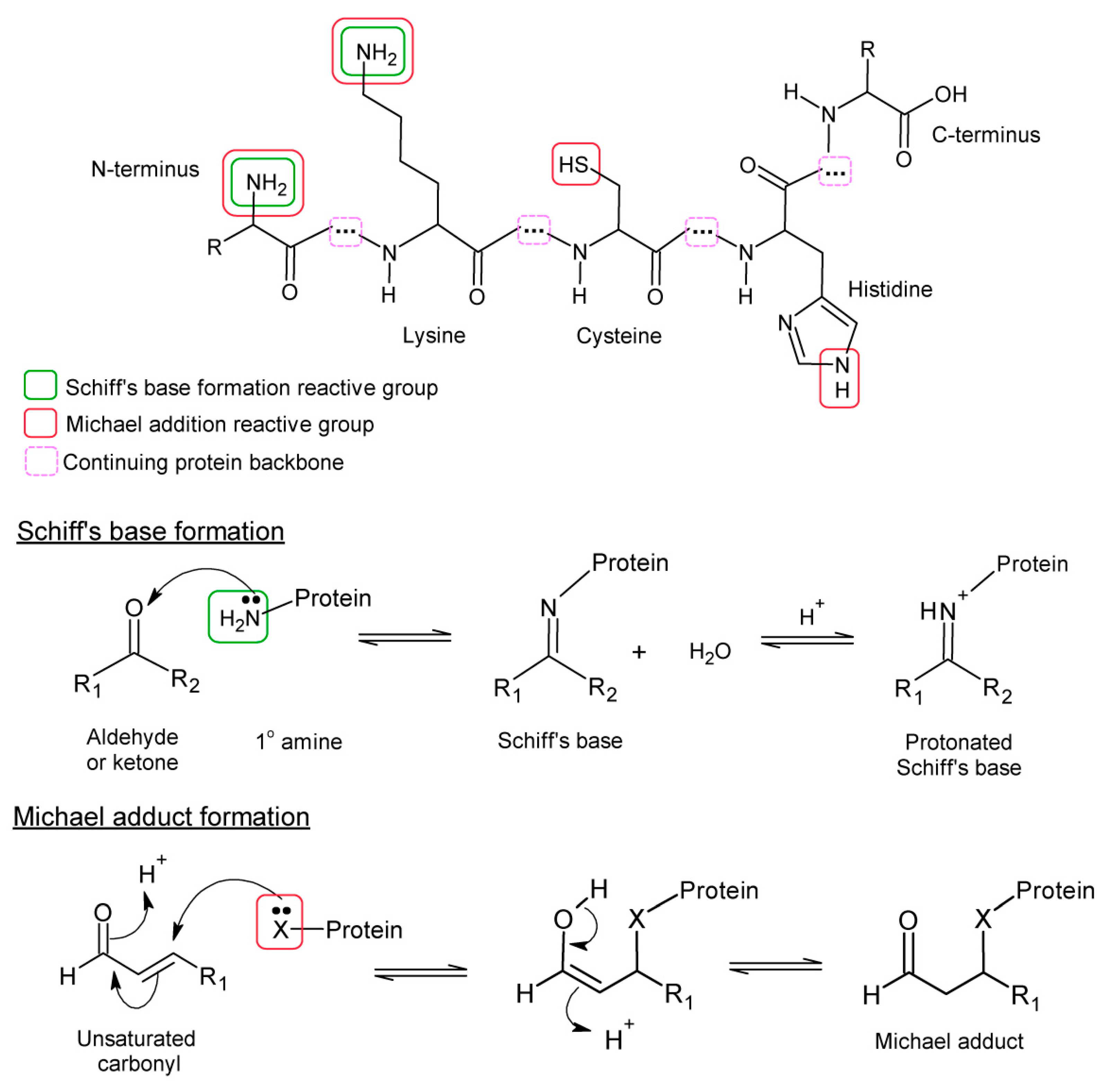 Antioxidants 10 00295 g001