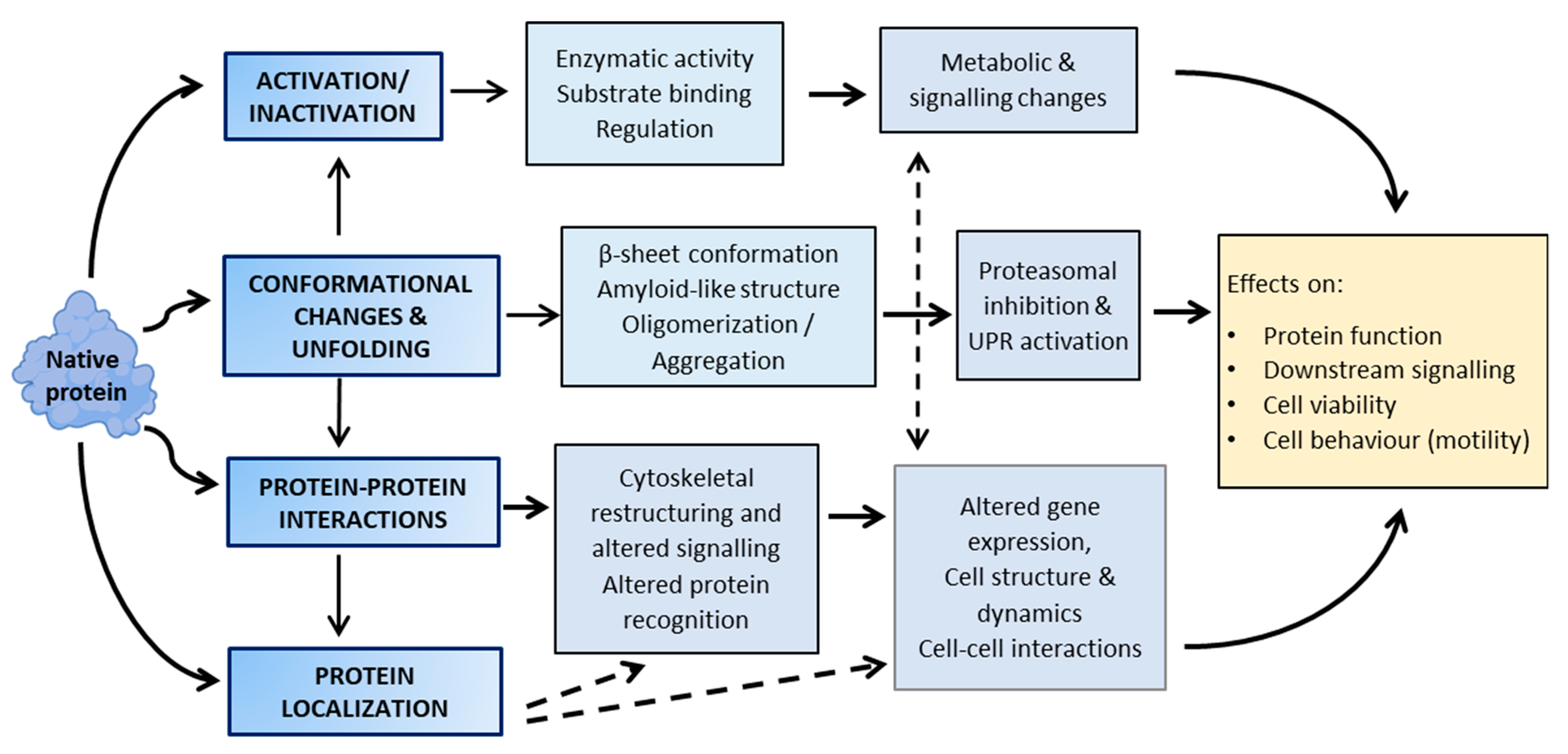 Antioxidants 10 00295 g002