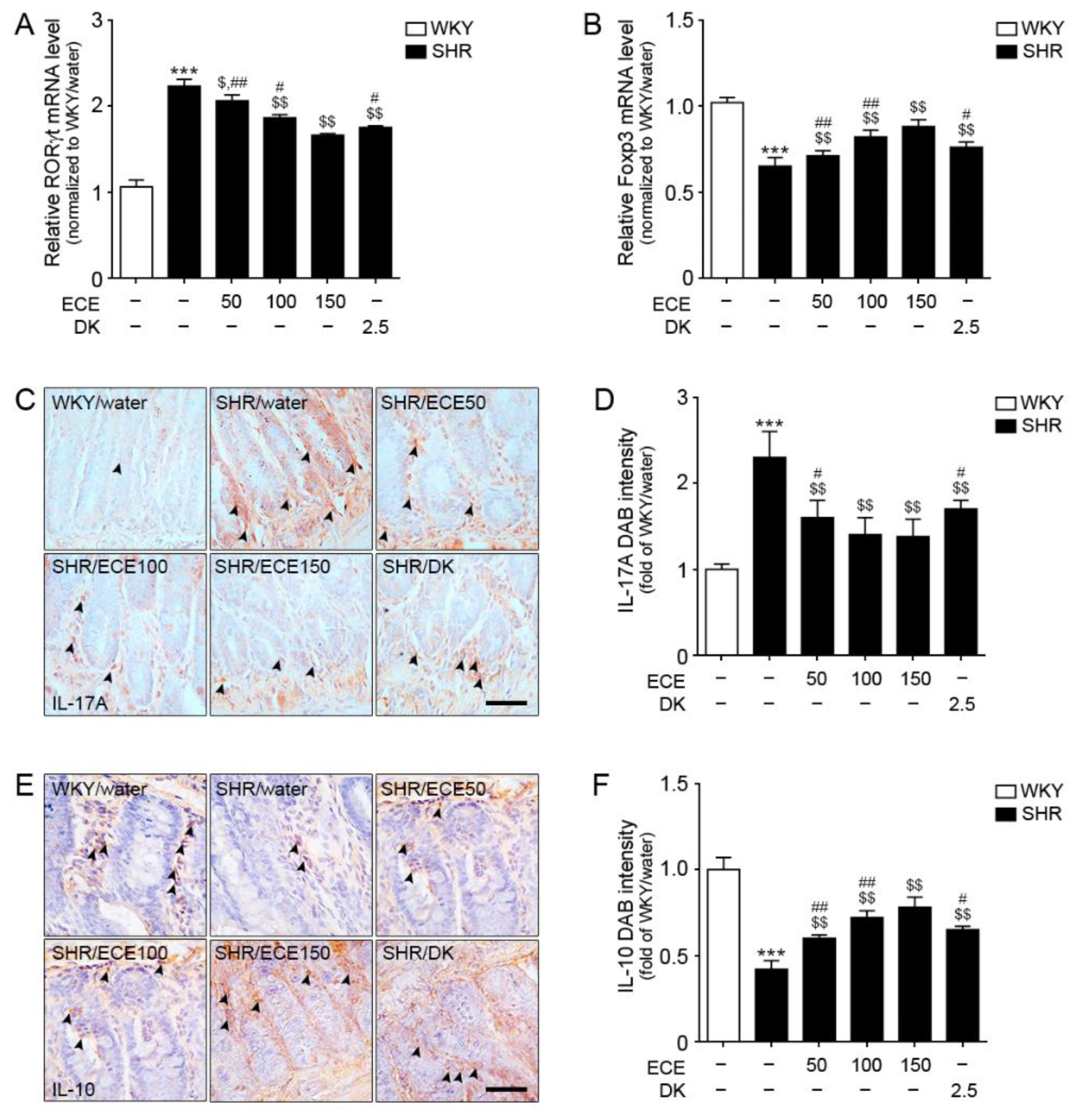 Antioxidants 10 00298 g001
