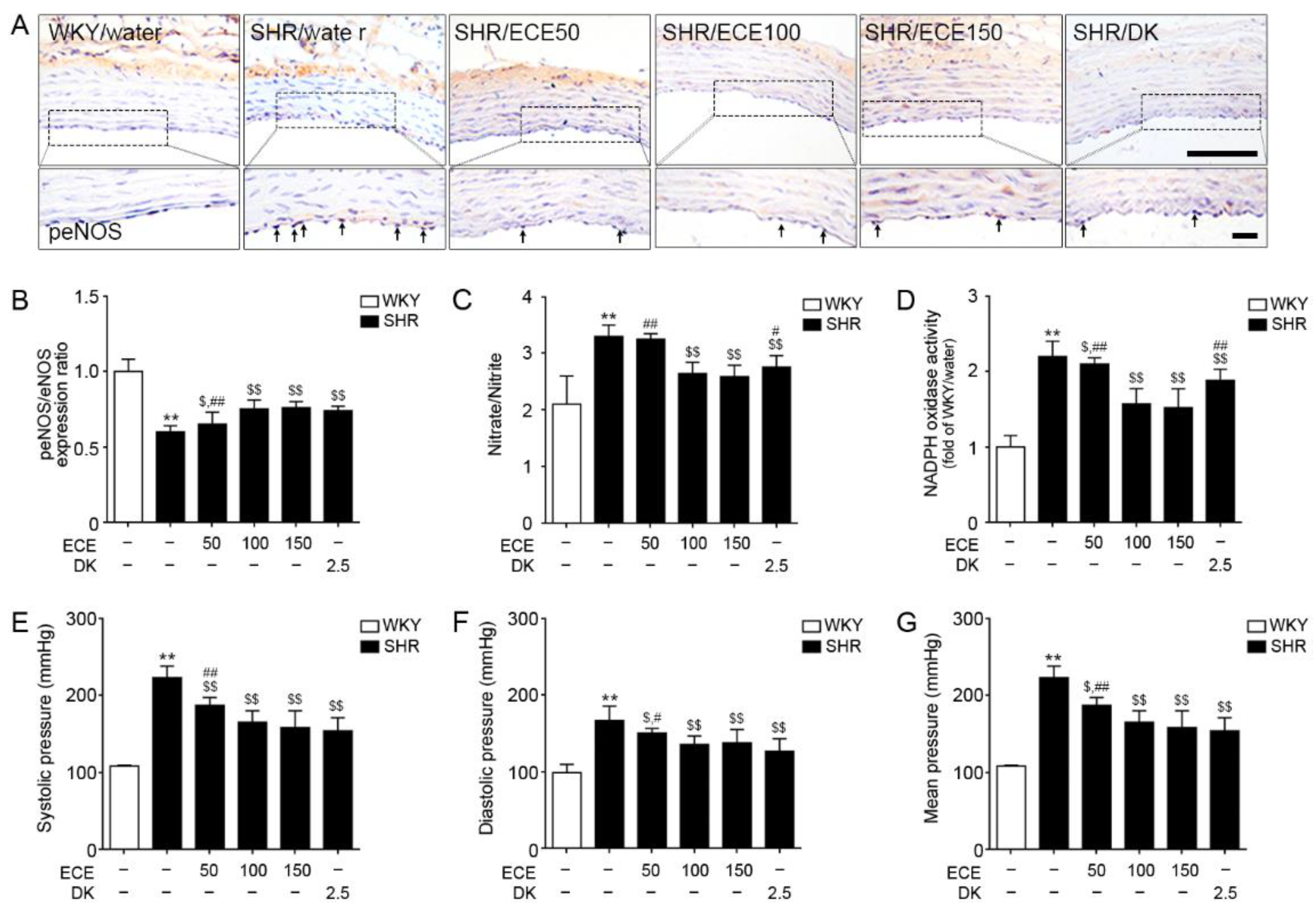 Antioxidants 10 00298 g005