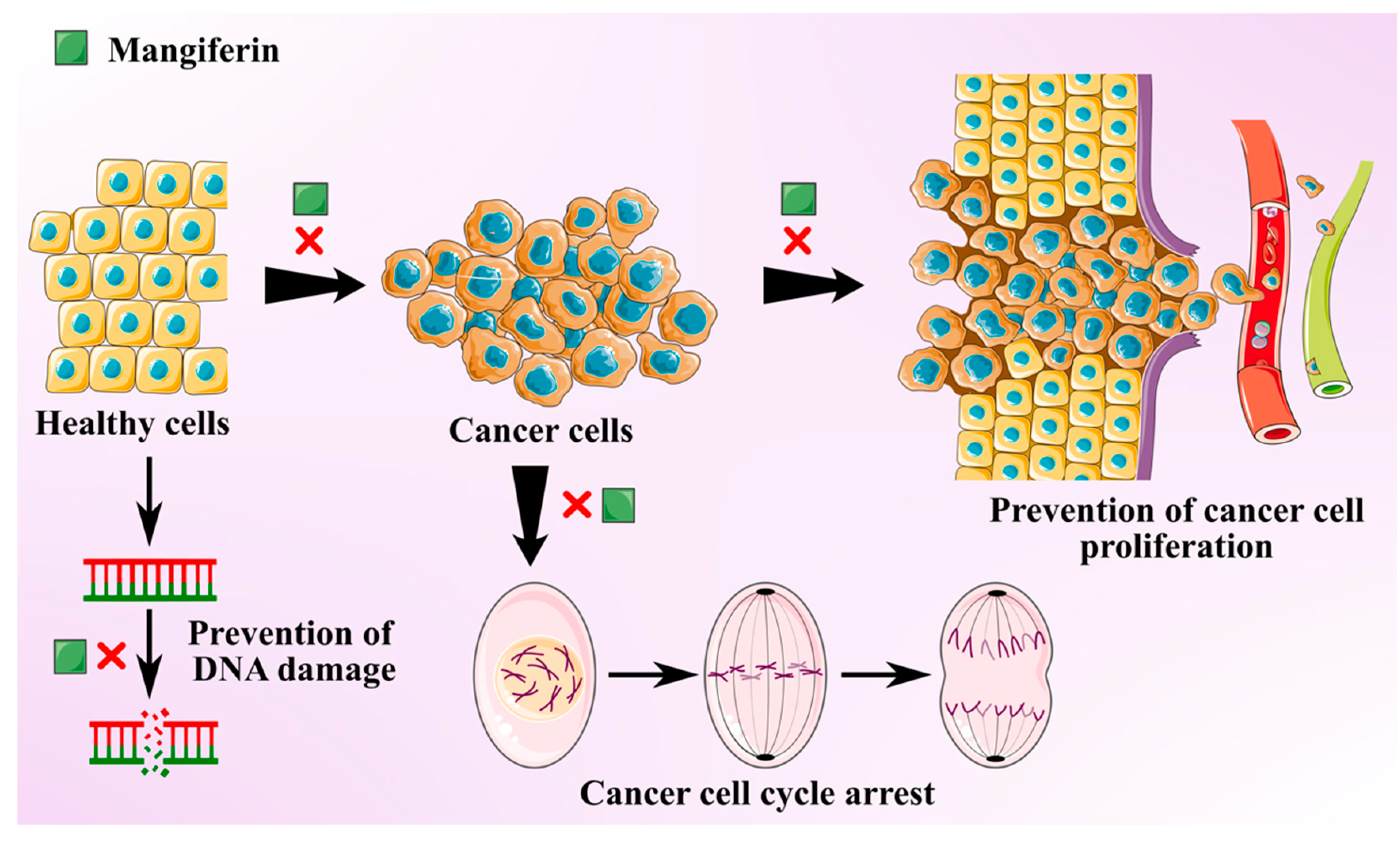 Antioxidants 10 00299 g002