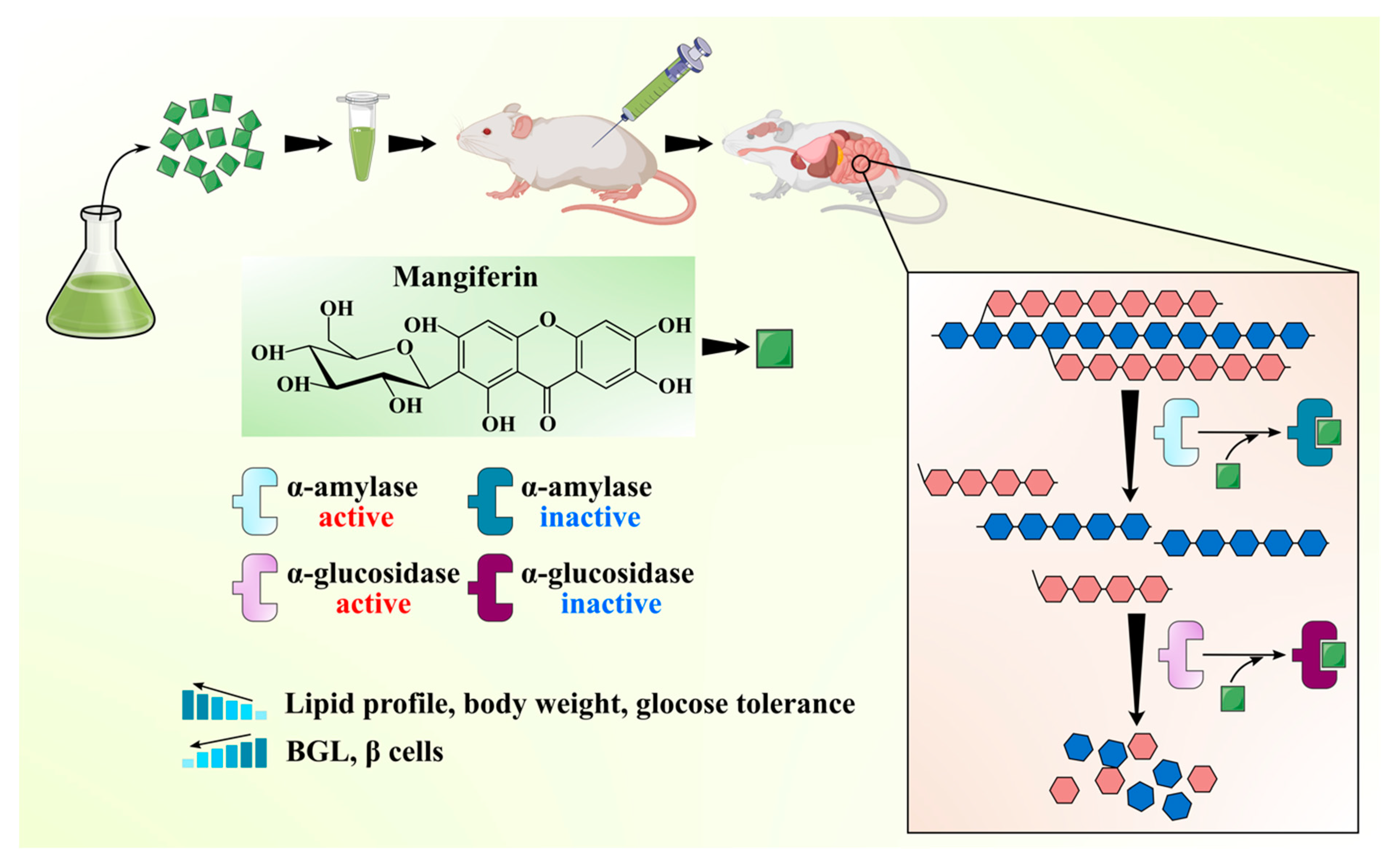 Antioxidants 10 00299 g003