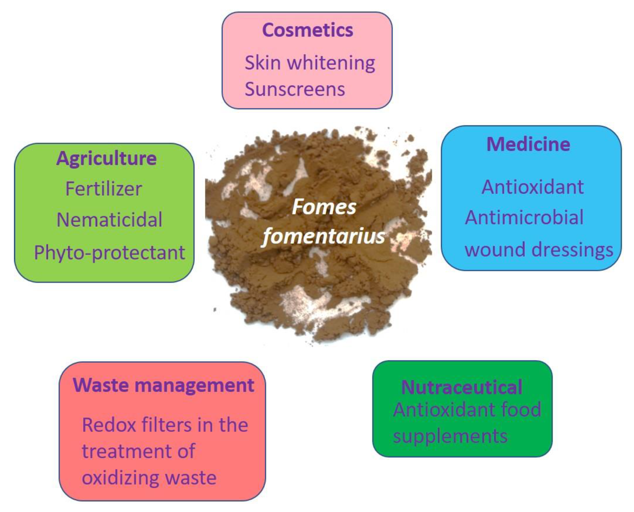 Antioxidants 10 00303 g009 Antioxidants 10 00303 g009