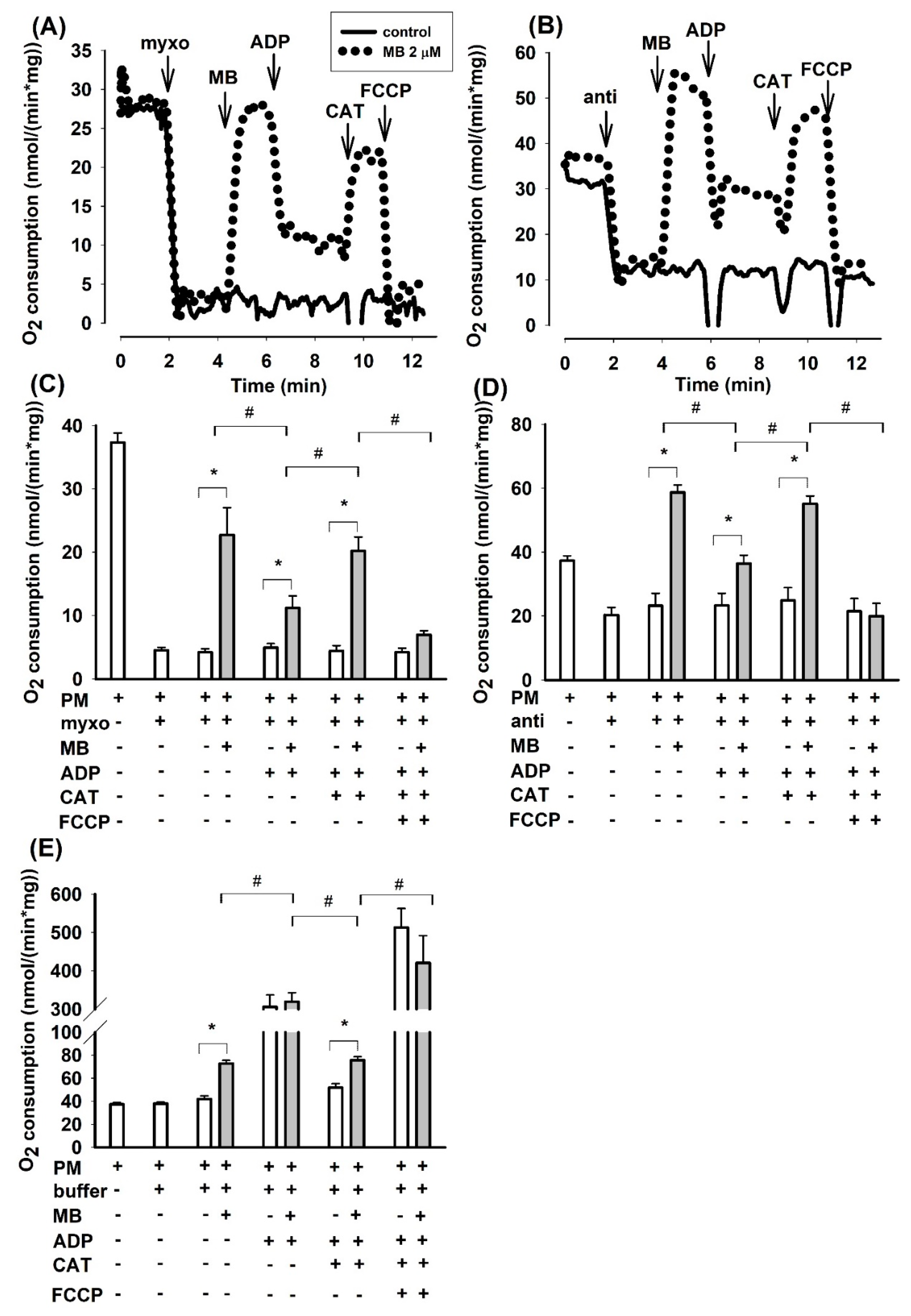 Antioxidants 10 00305 g001