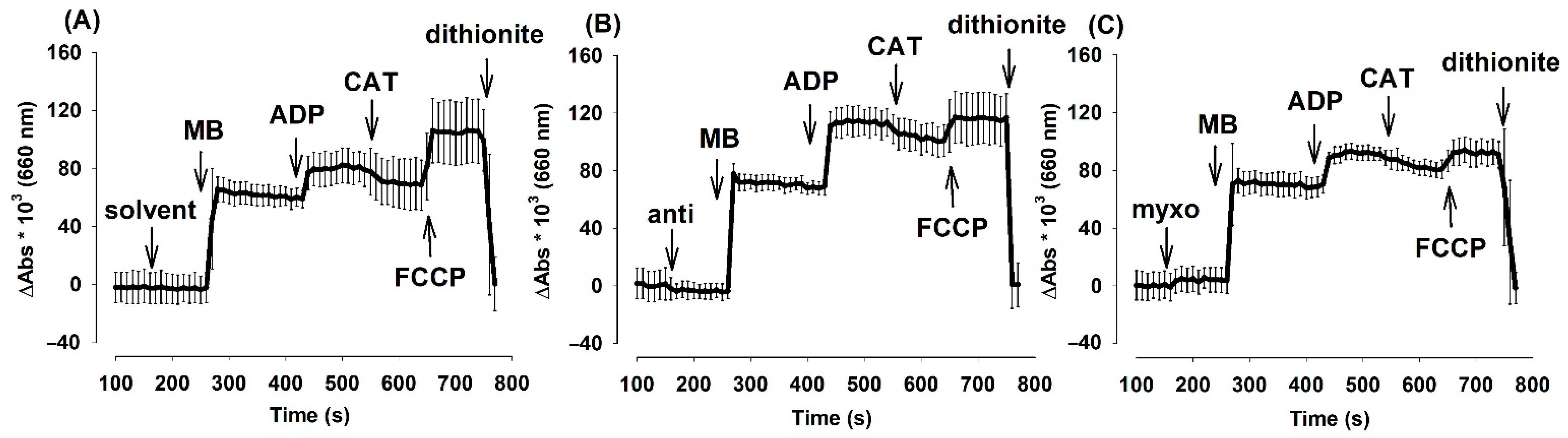 Antioxidants 10 00305 g005