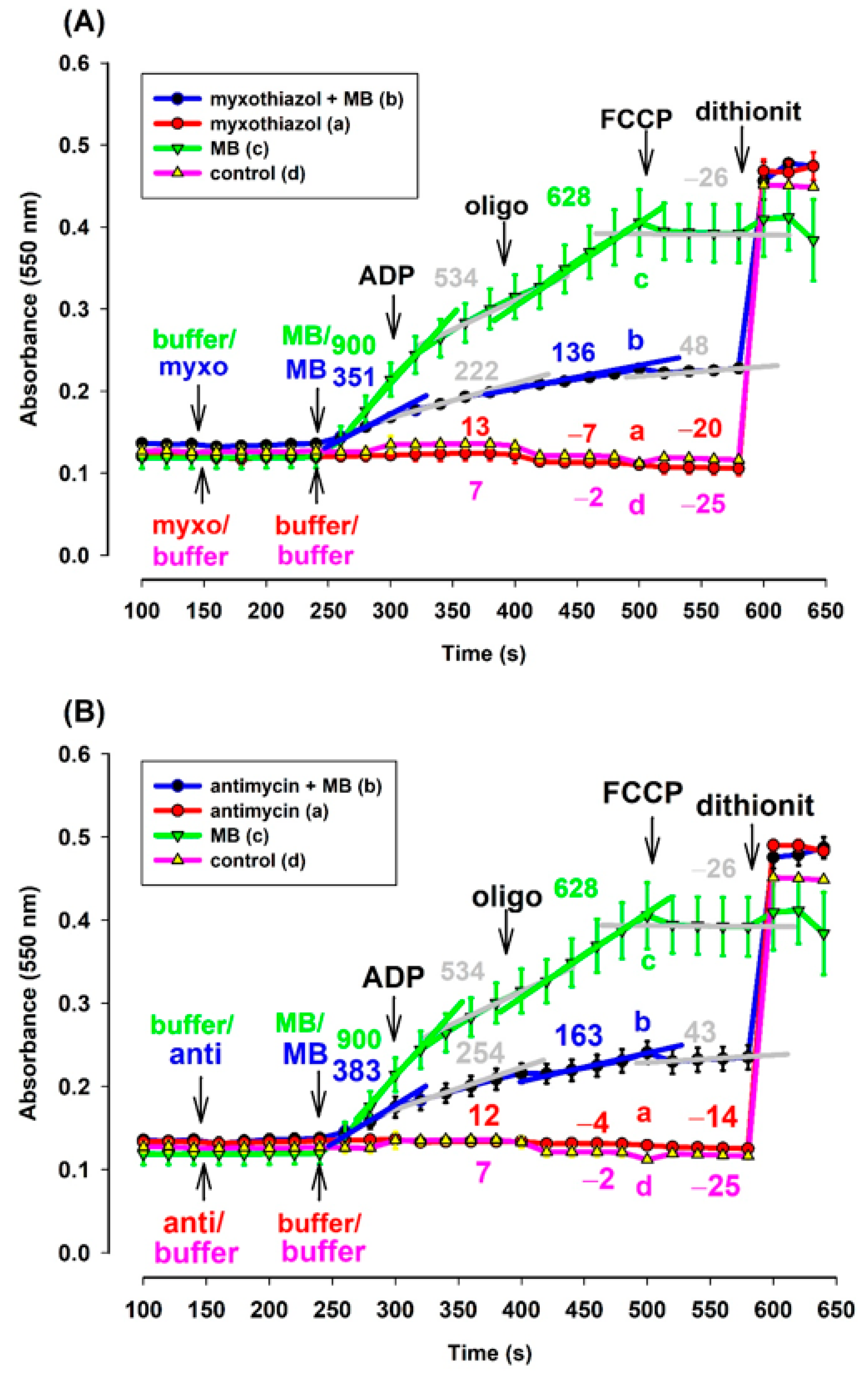Antioxidants 10 00305 g007