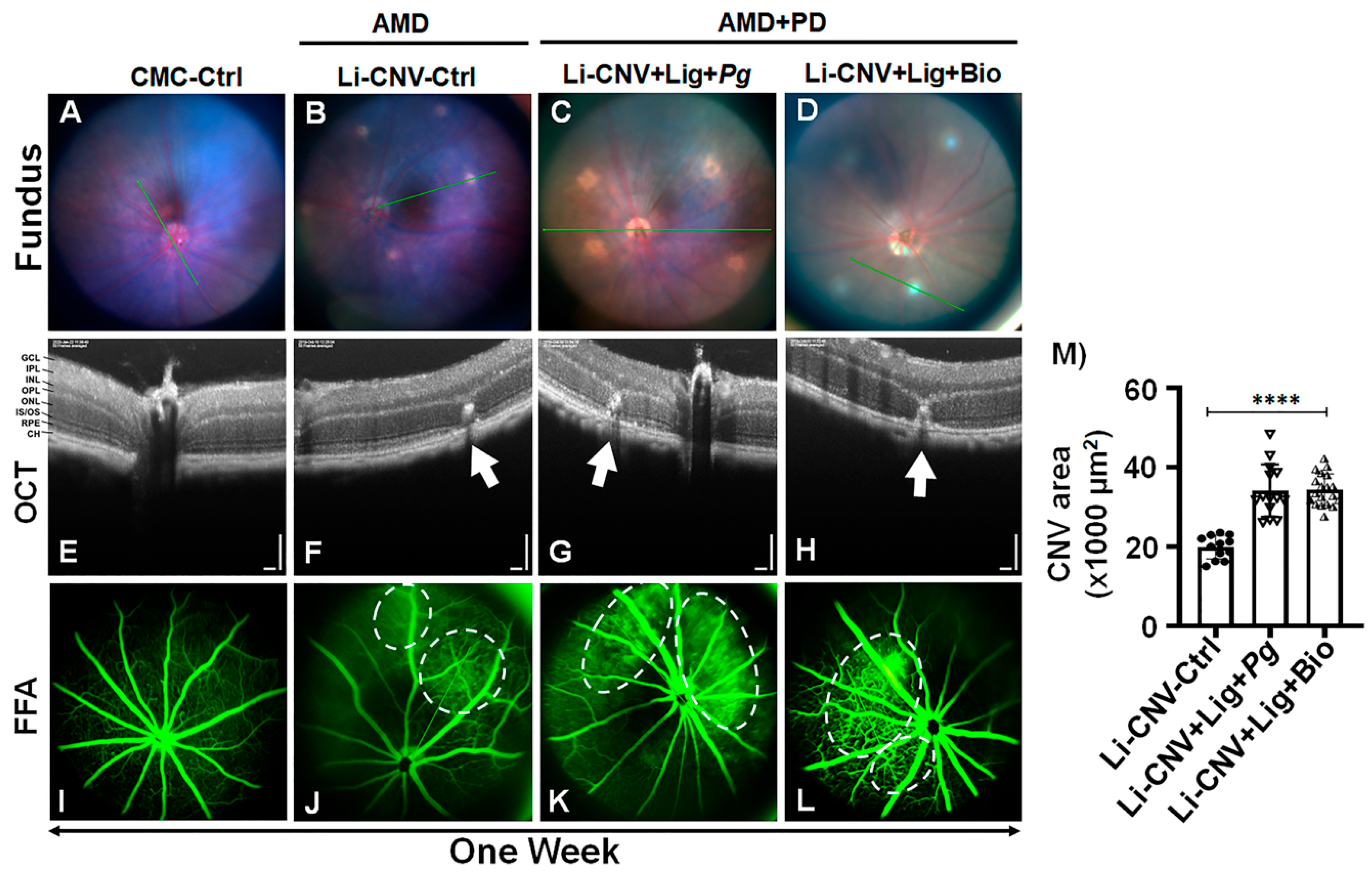 Antioxidants 10 00309 g002