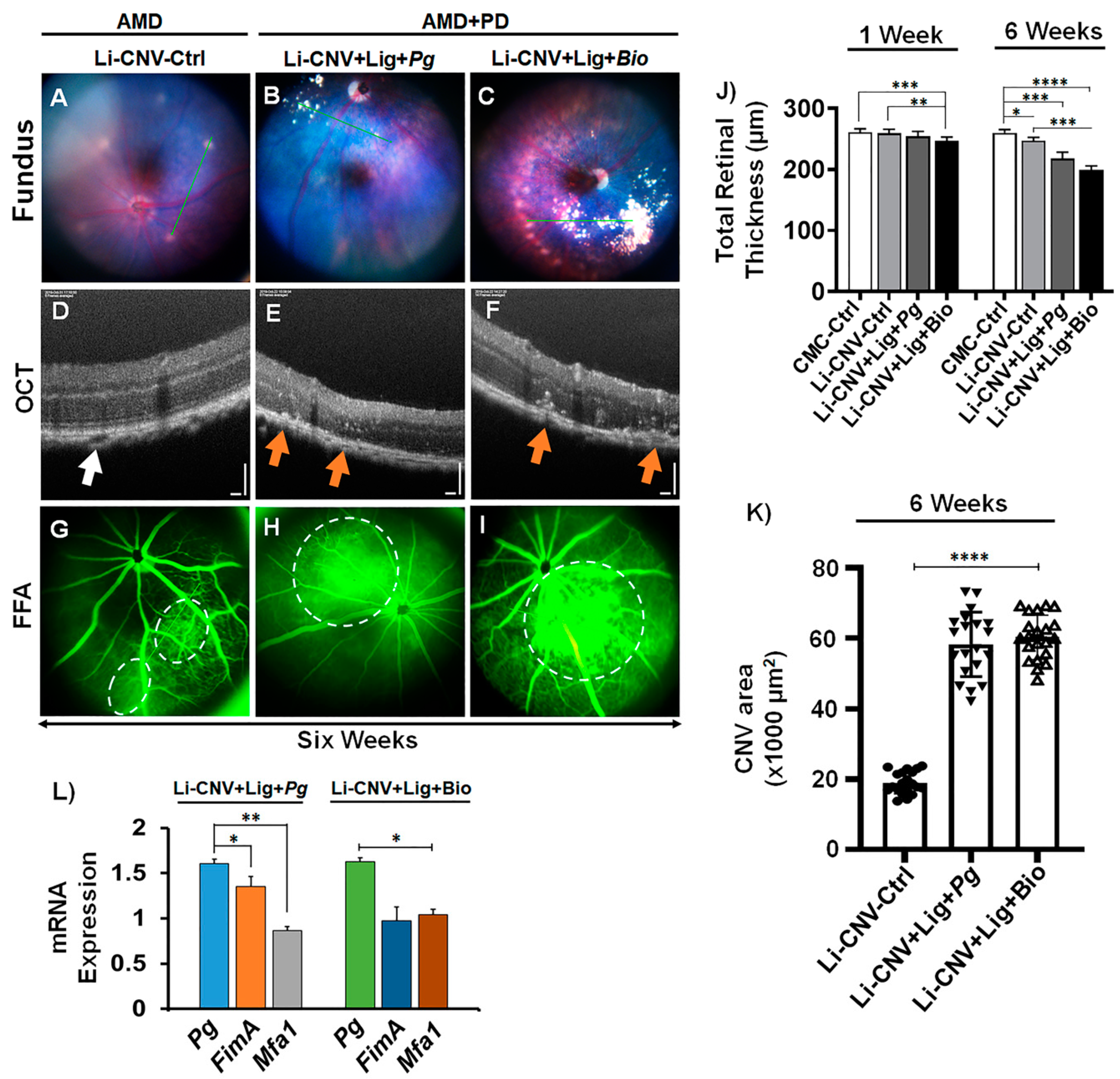 Antioxidants 10 00309 g003